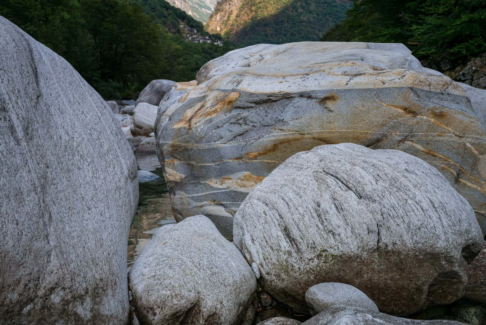 L1002205.jpg