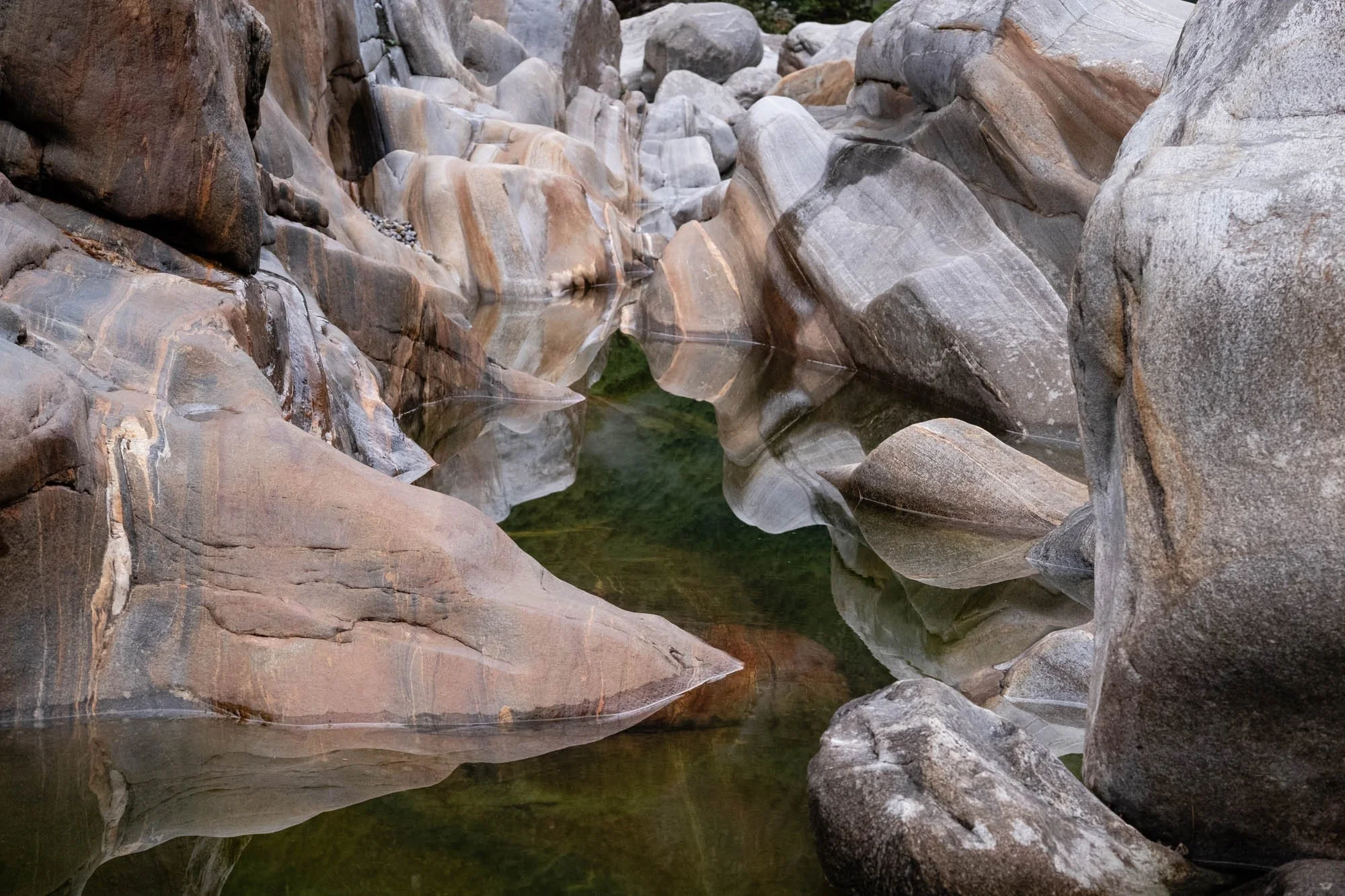 DSCF5308.jpg