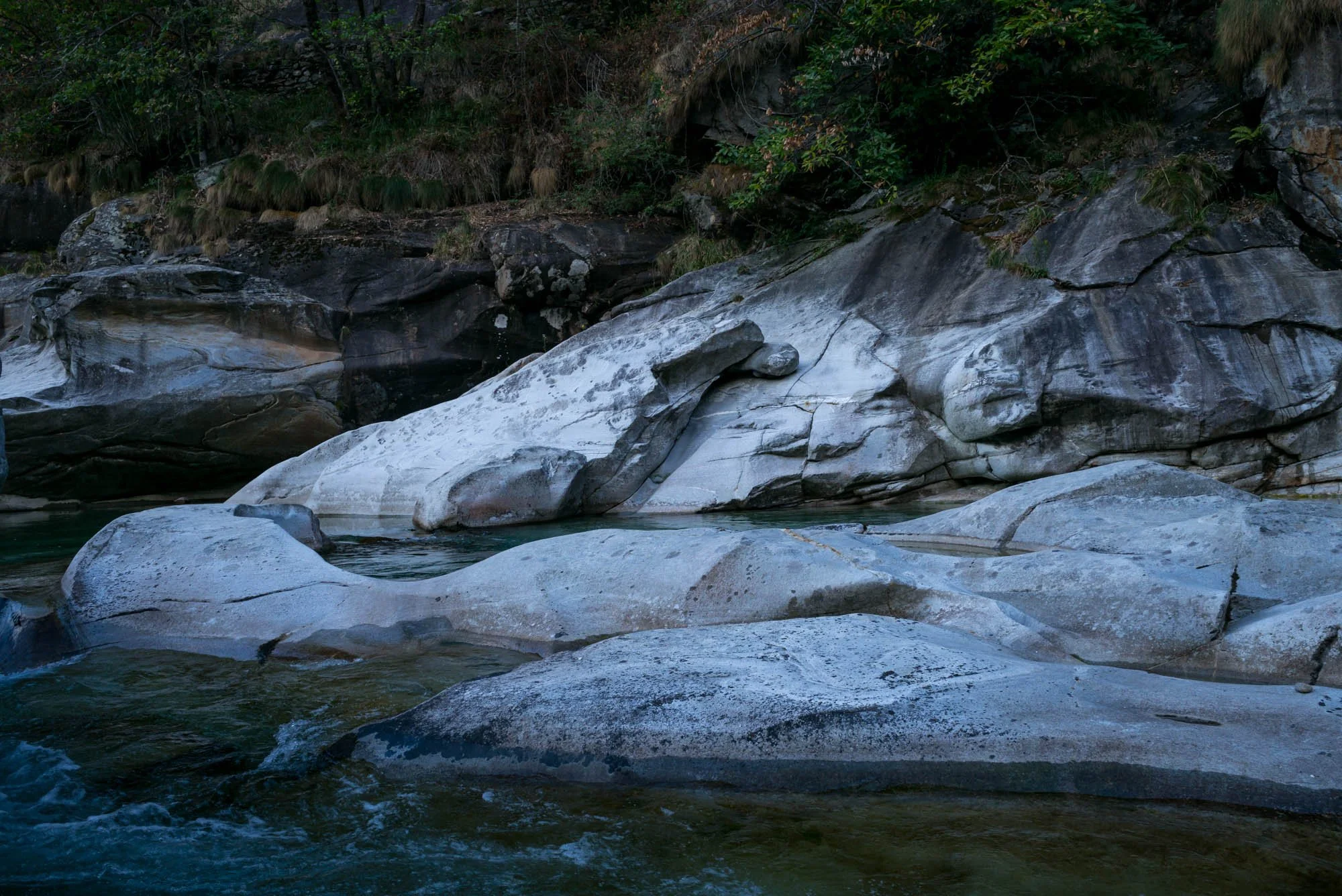 L1002440.jpg