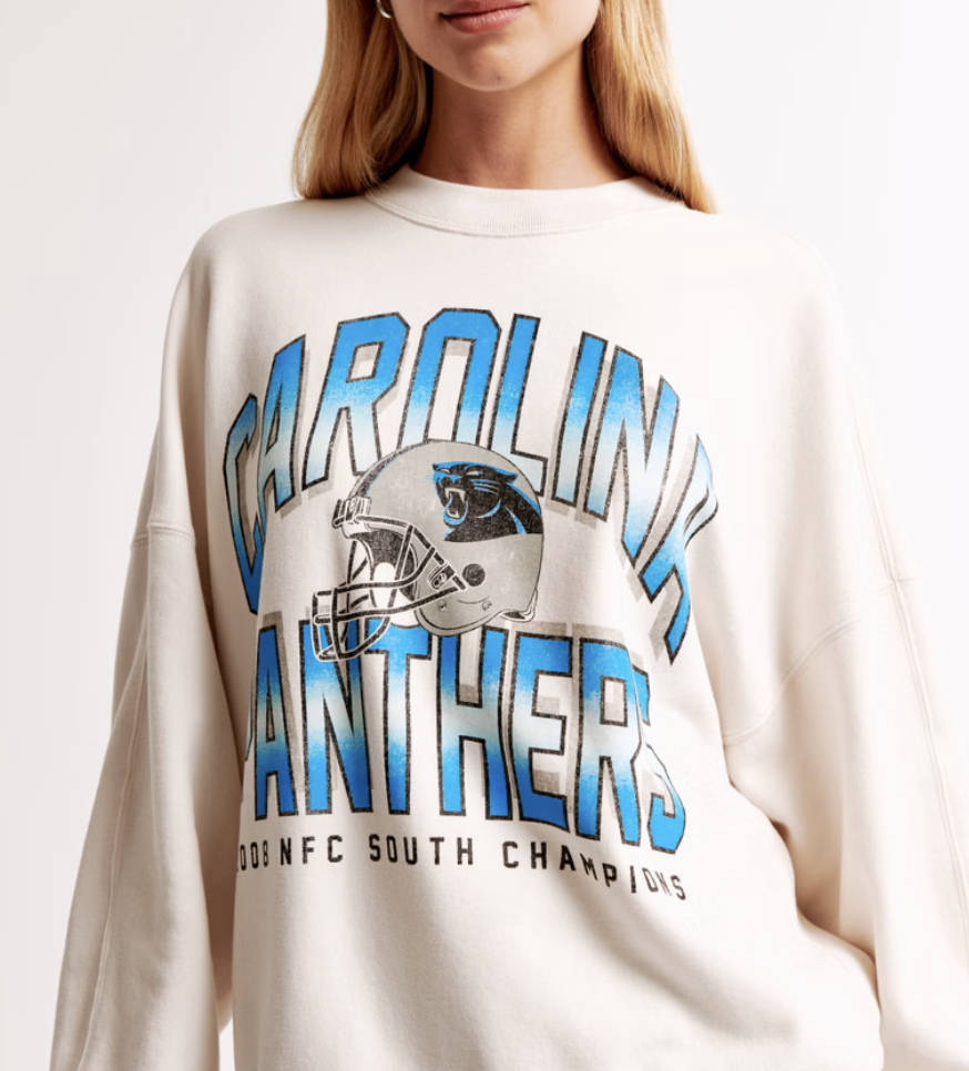 Person wearing a Carolina Panthers sweatshirt with text "2008 NFC South Champions."