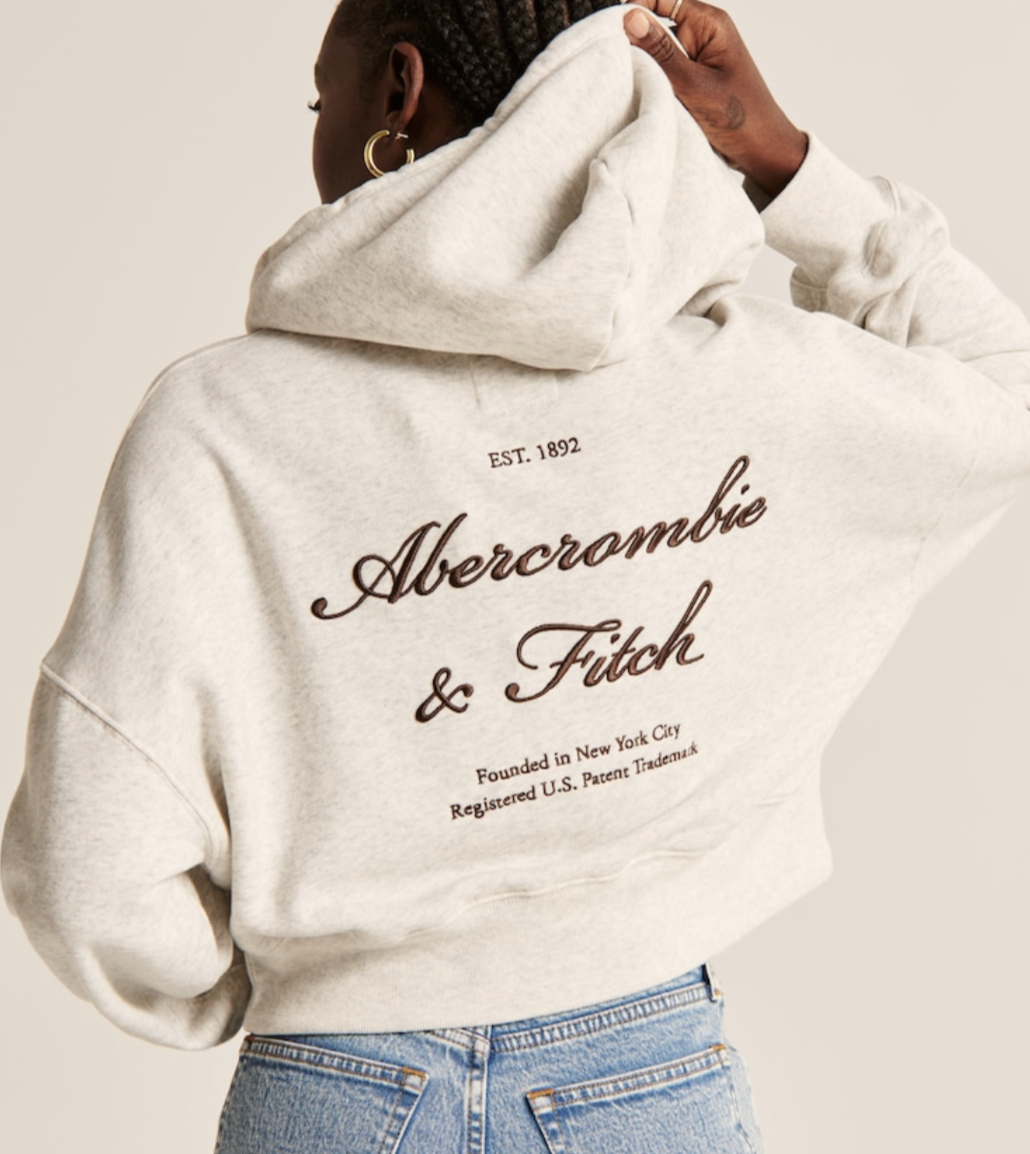 Person wearing a gray Abercrombie & Fitch hoodie with text on the back.