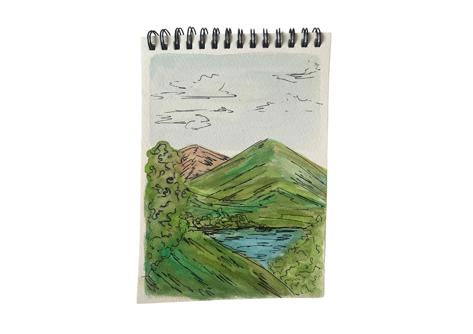 sketchbook p24.png