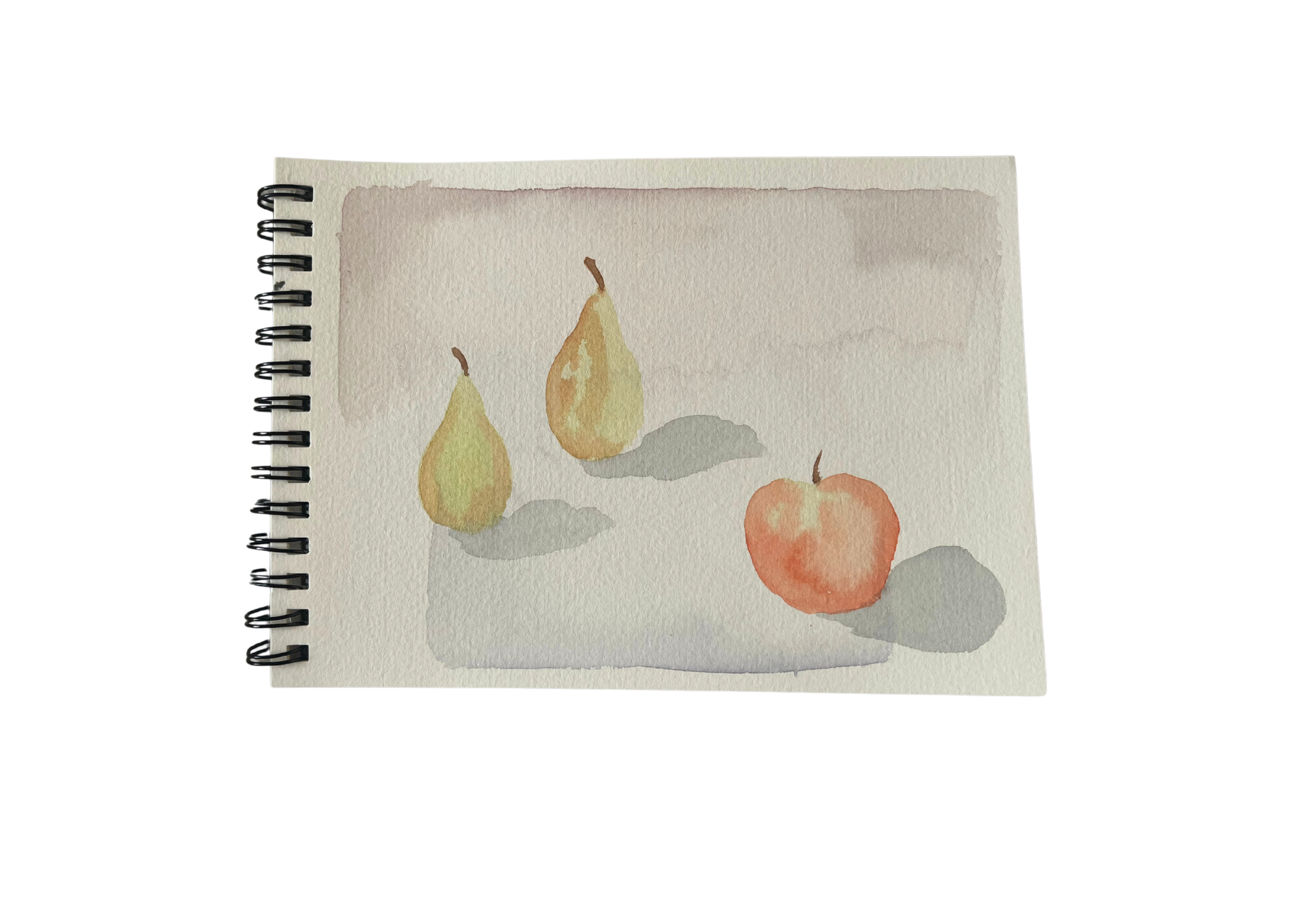 sketchbook p21.png