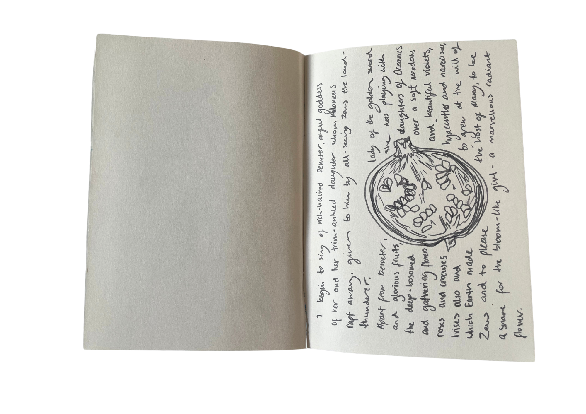 sketchbook p2.png