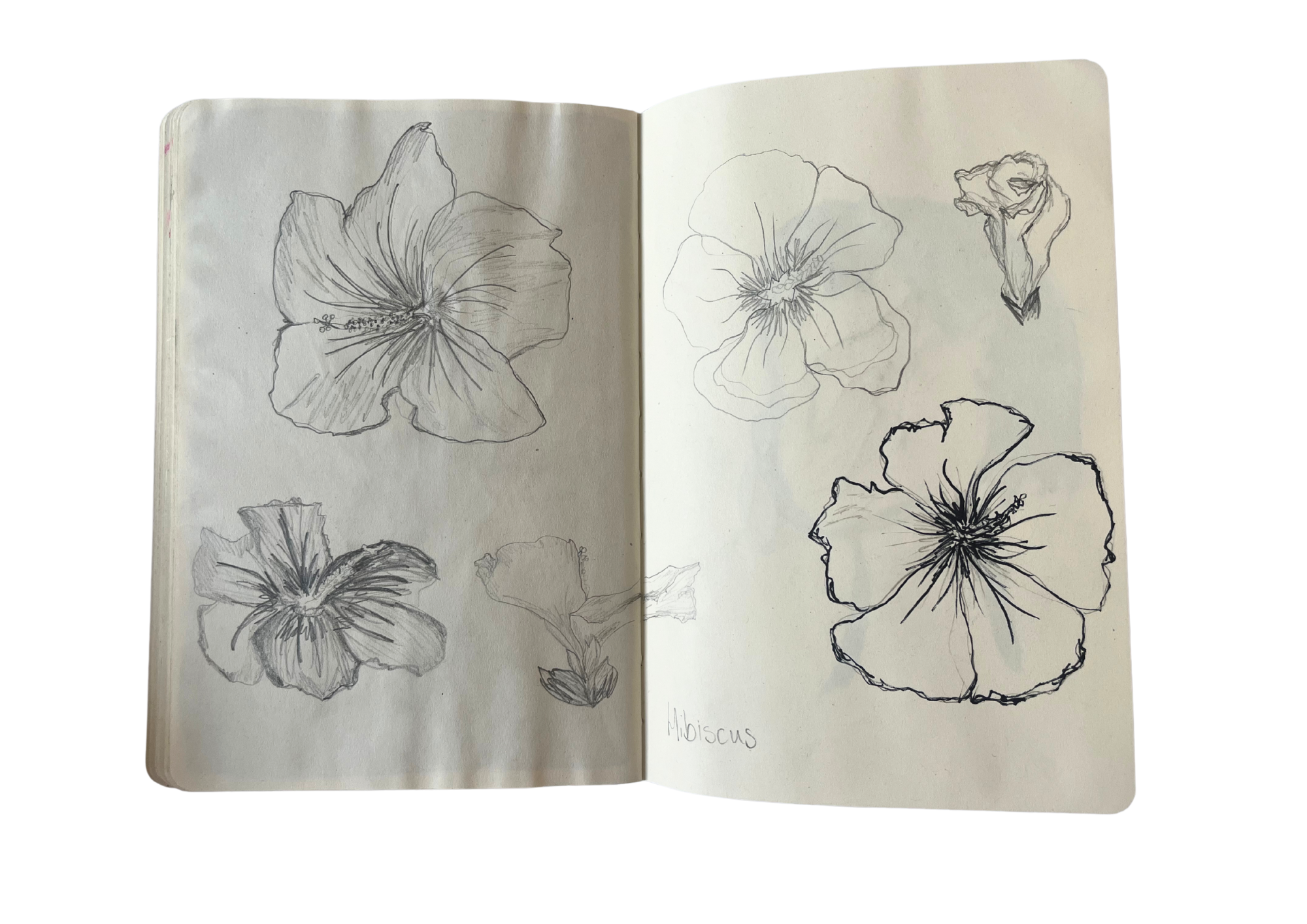 sketchbook p16.png
