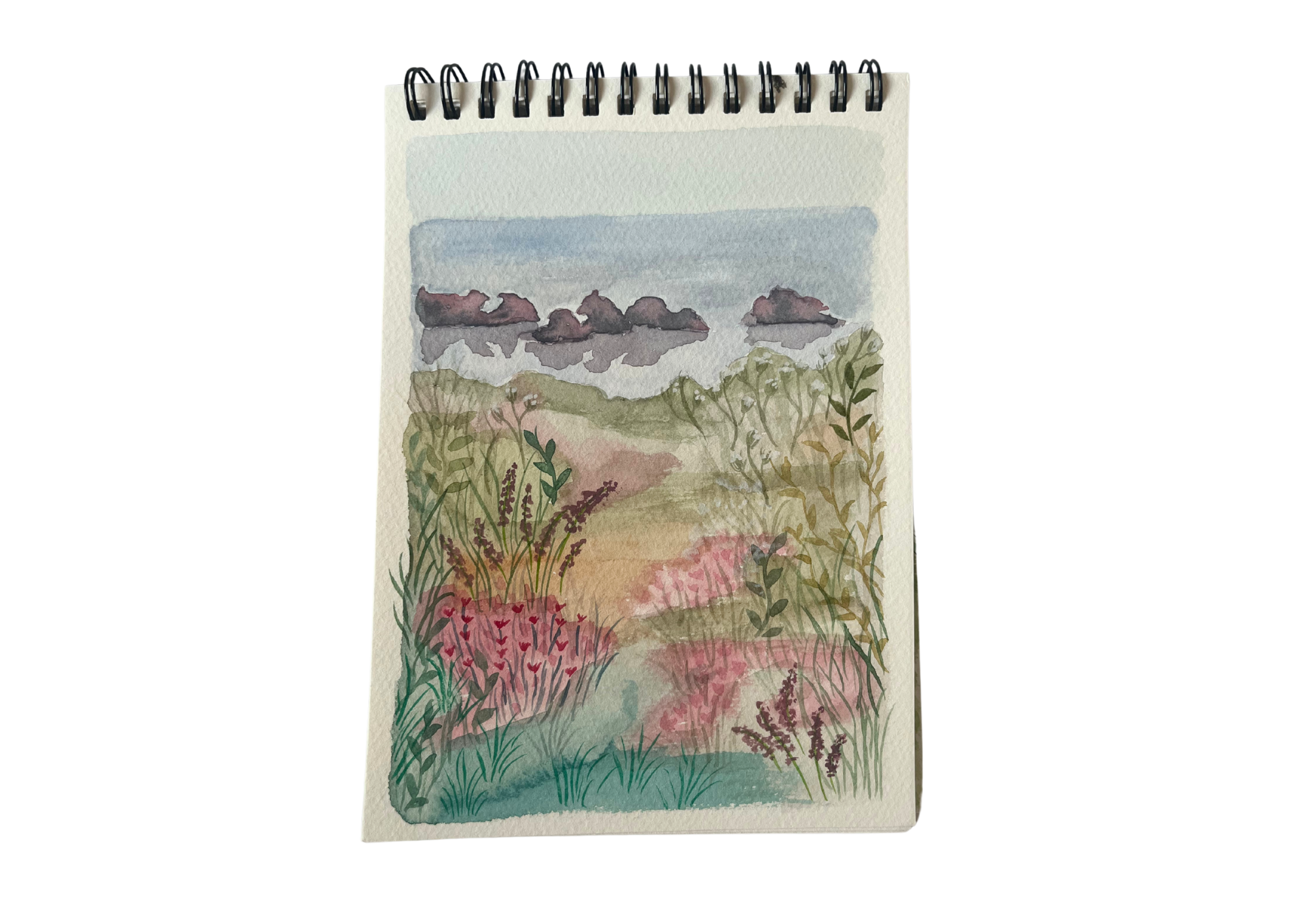 sketchbook p23.png