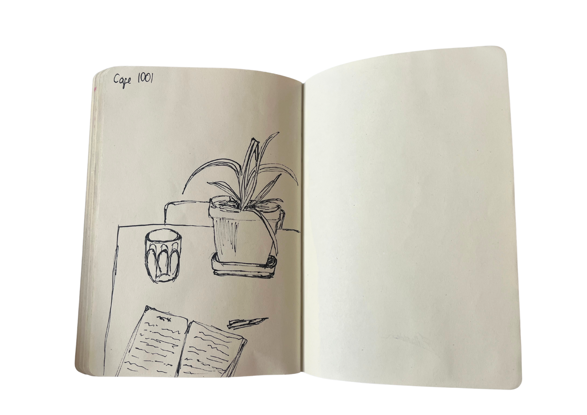 sketchbook p15.png
