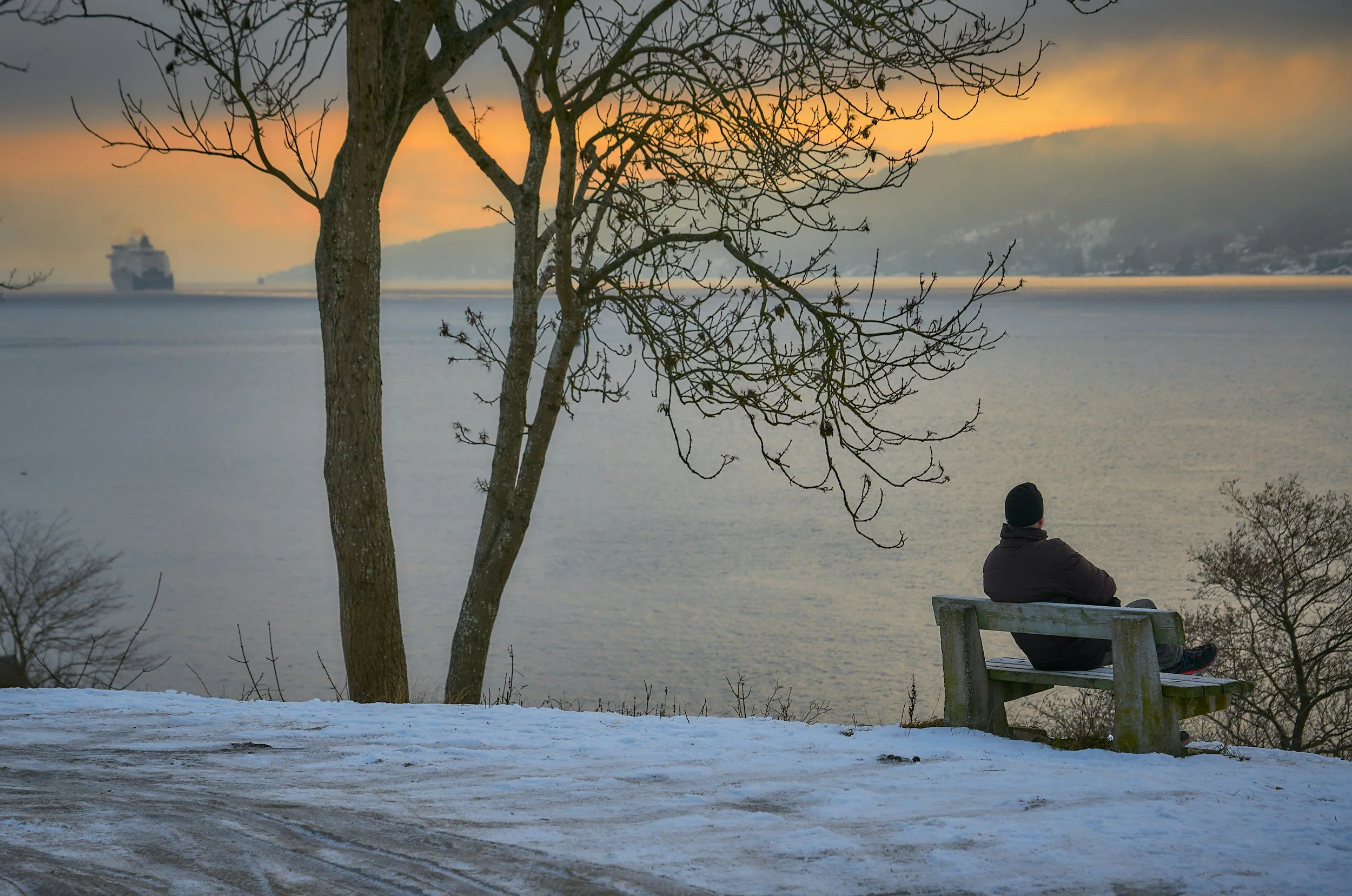 Wintering: Honoring the Season of Rest, Reflection, and Renewal