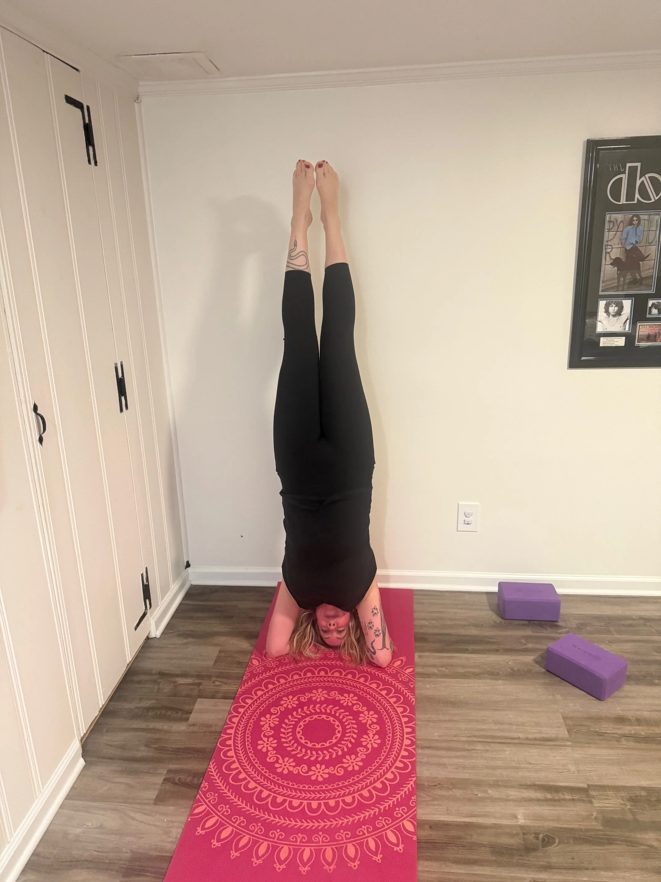 Beginning Your Yoga Inversion Journey: Building Strength, Confidence, and Trust