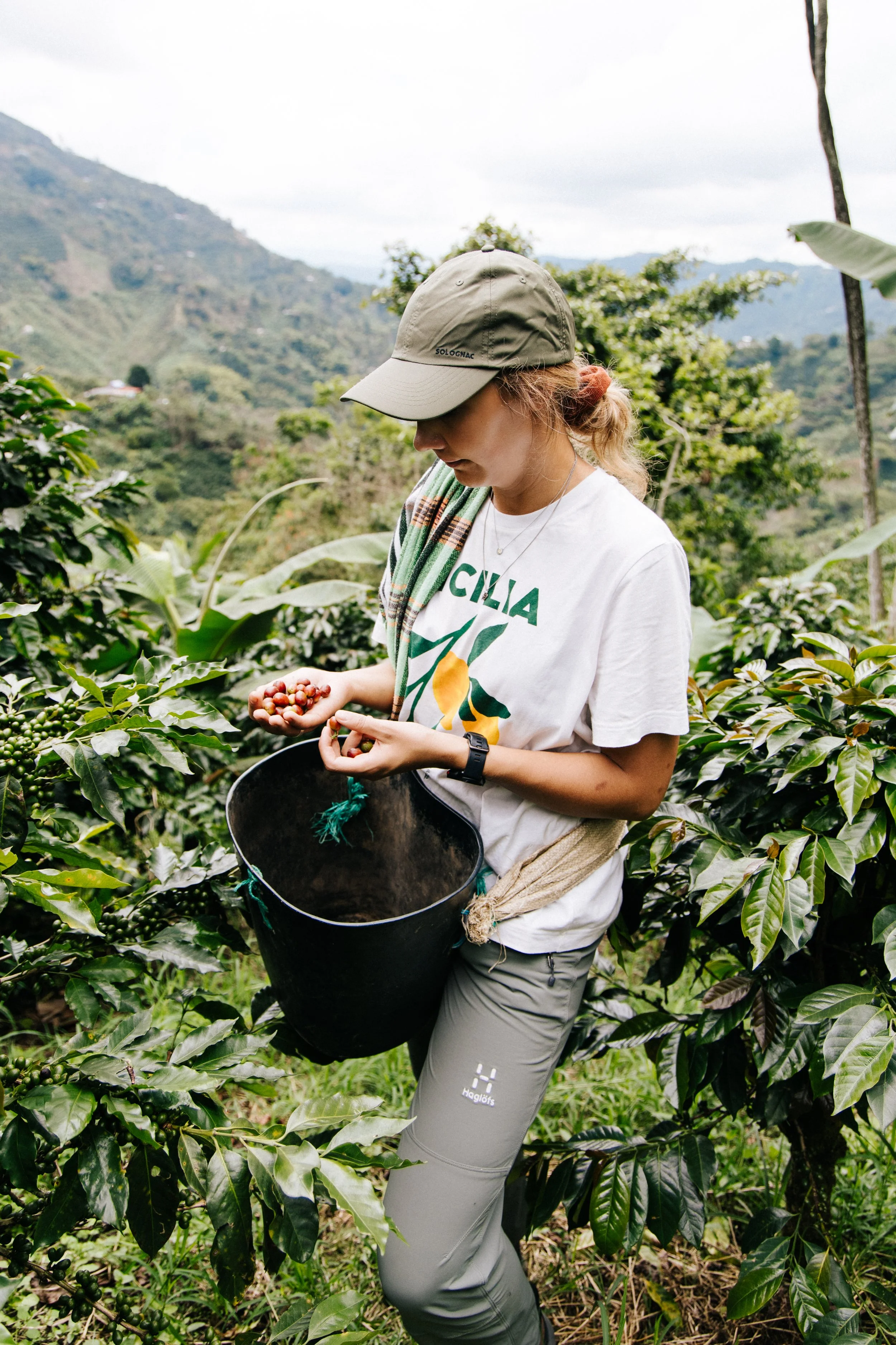 brand pictures at a coffee farm