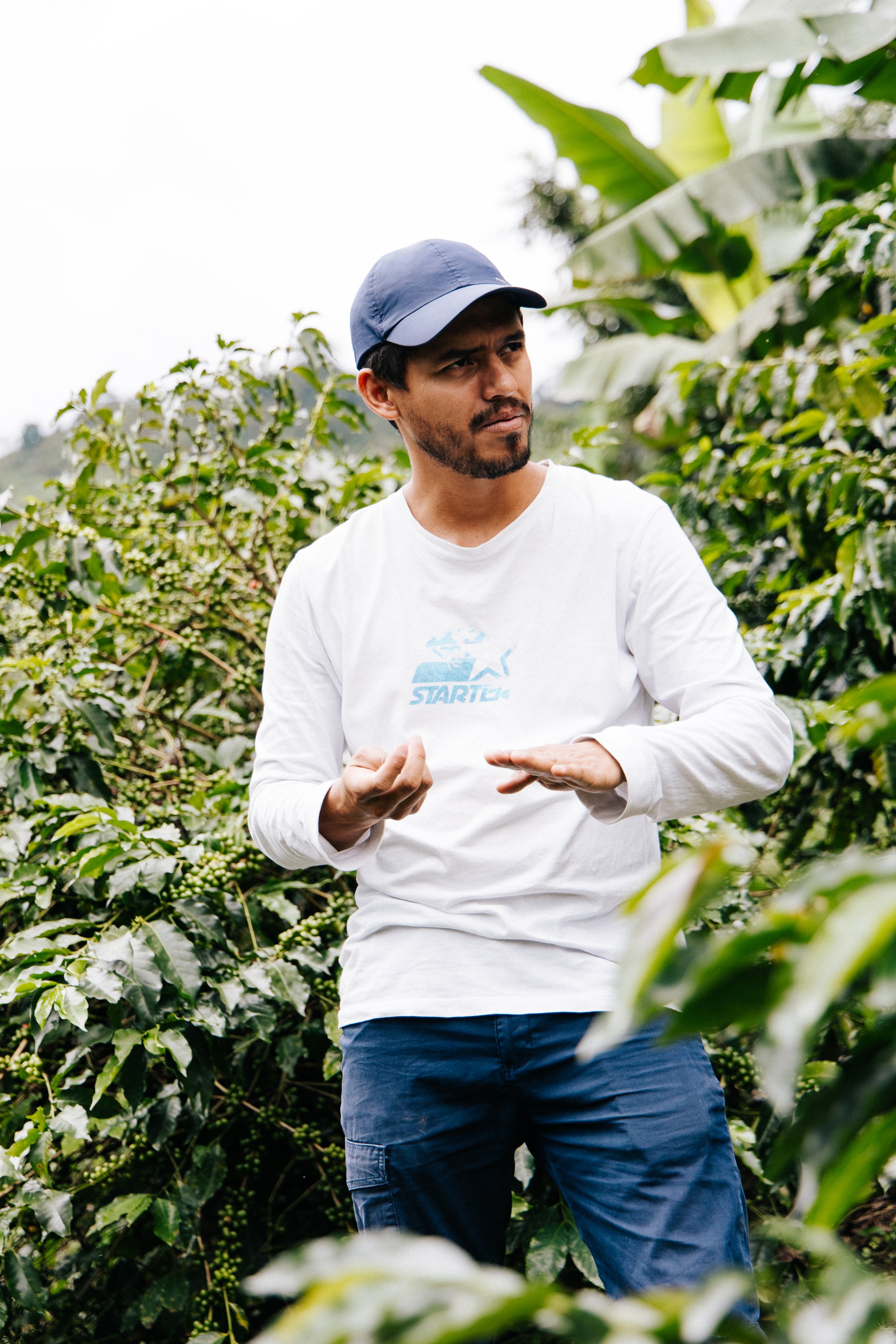 brand pictures at a coffee farm