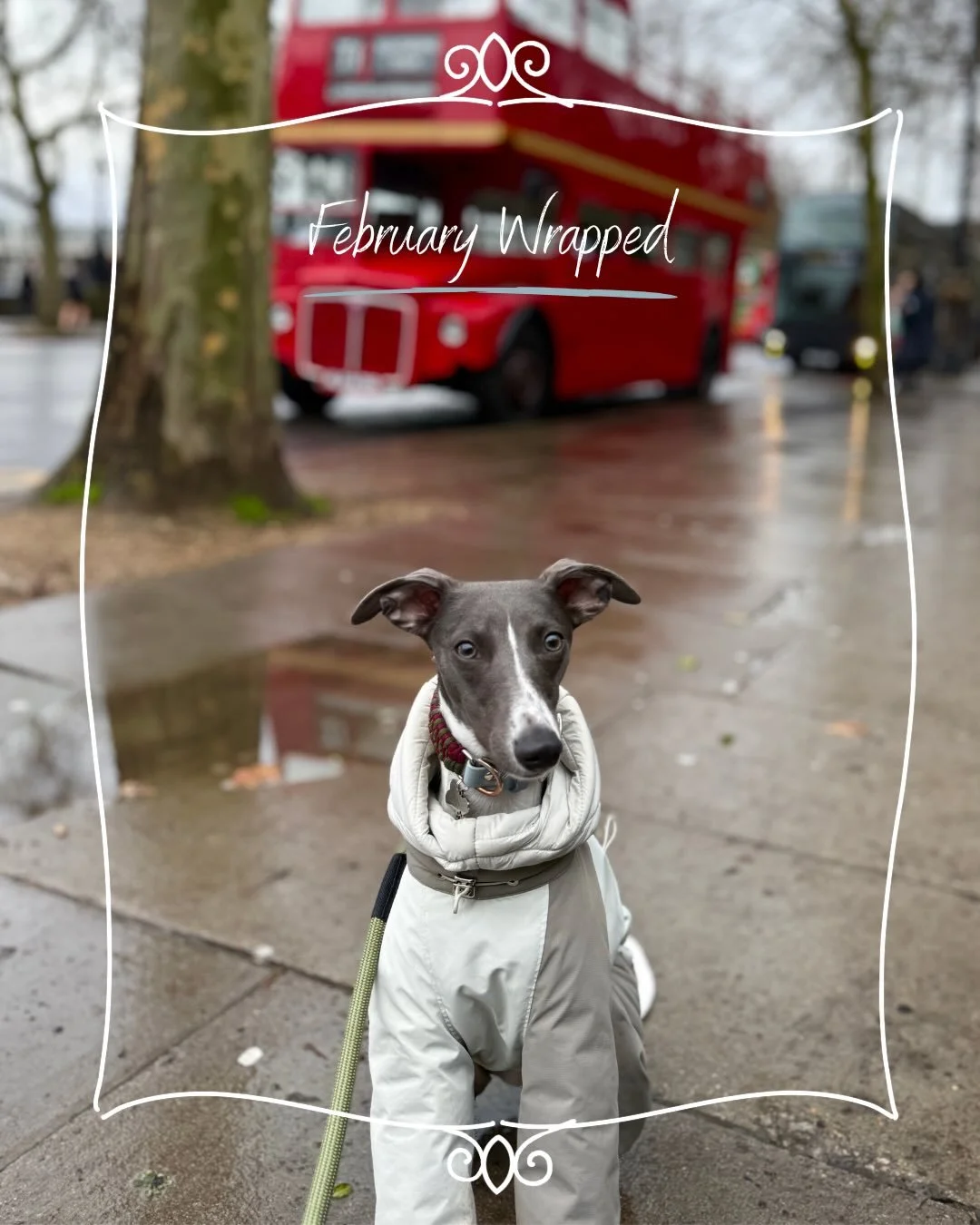 ✨February Wrapped ✨ 
Is it just me, or is the year passing far too quickly already?! Definitely a case of spinning several plates, but I wouldn&rsquo;t have it any other way!
February highlights as follows:
1. Trudy&rsquo;s big (albeit drizzly) day o