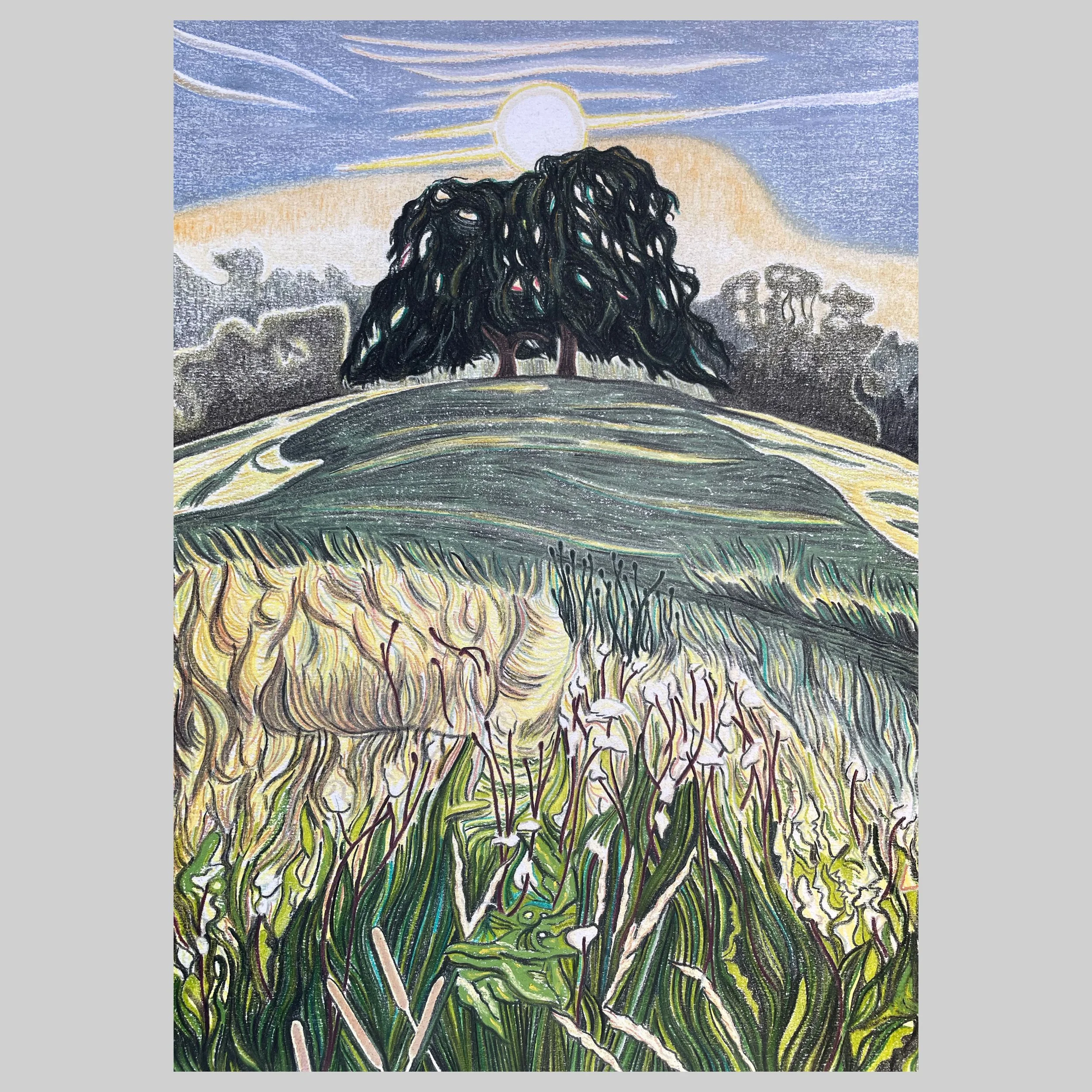 Sunrise Hampstead Heath, 2024, Pastel, charcoal and coloured pencil on paper 41.5cm x 29.5cm SOLD