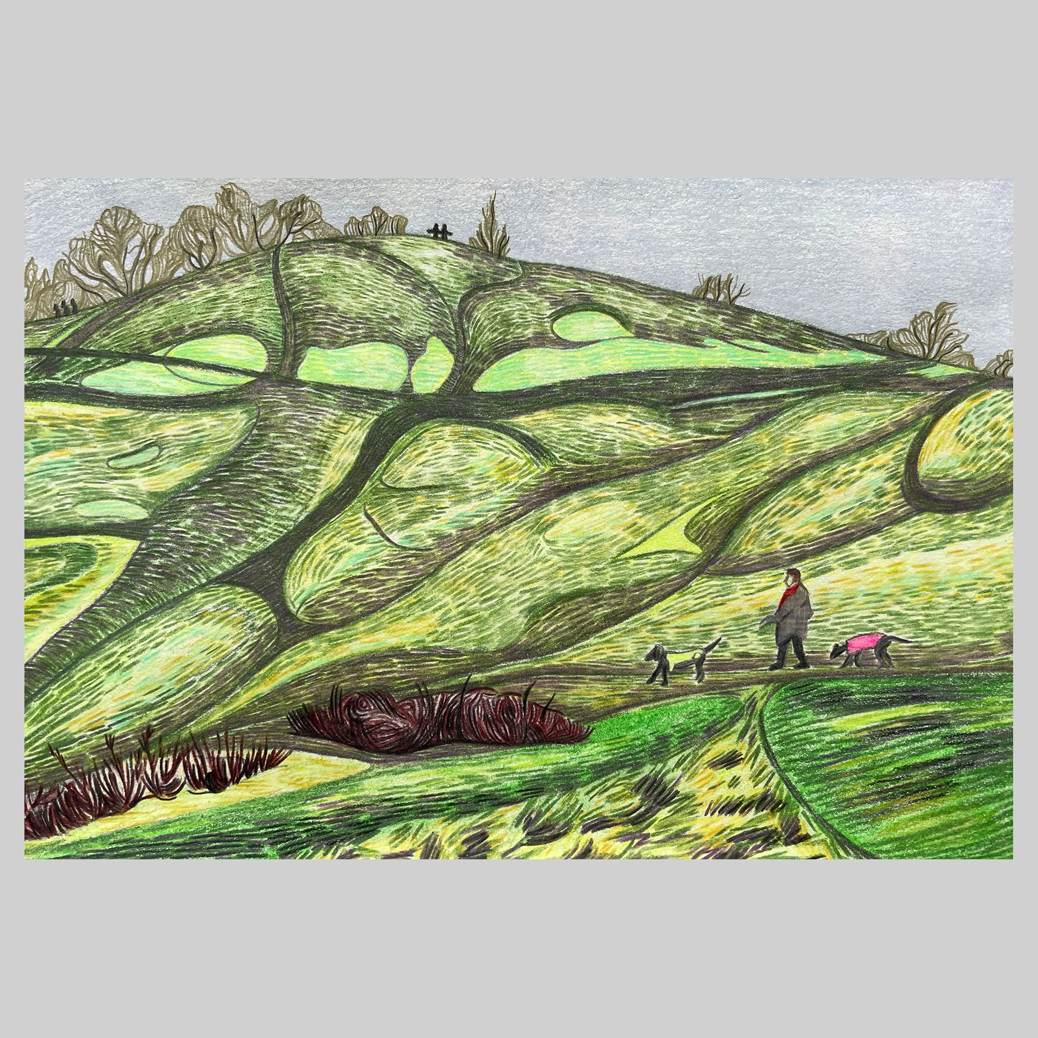 Winter’s day Parliament Hill, 2025, Coloured pencil and pastel on paper 15.5m x 22cm SOLD