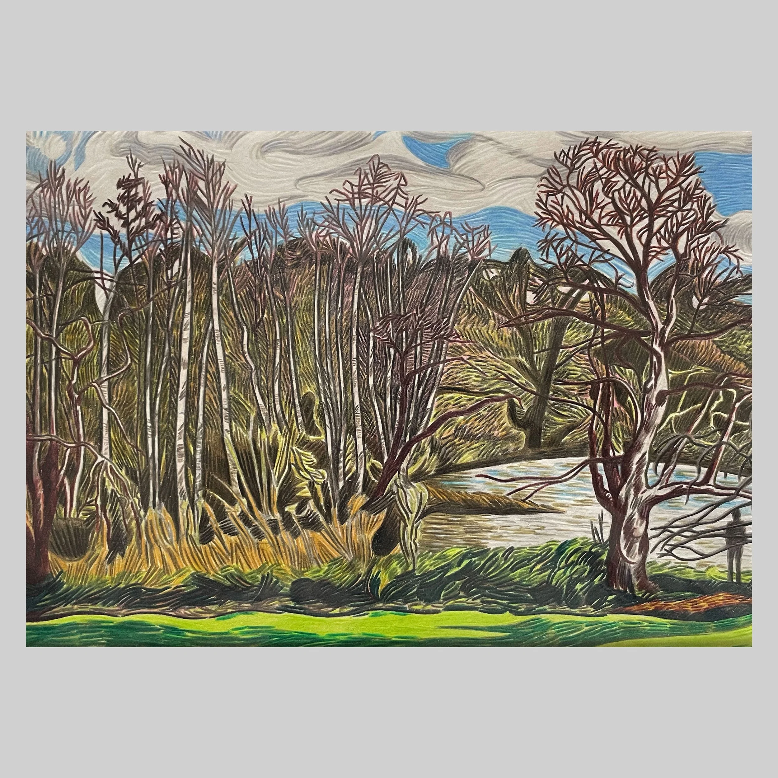 Winter trees at Kenwoood, 2025, Coloured pencil, pastel and graphite on paper 15cm x 21cm SOLD