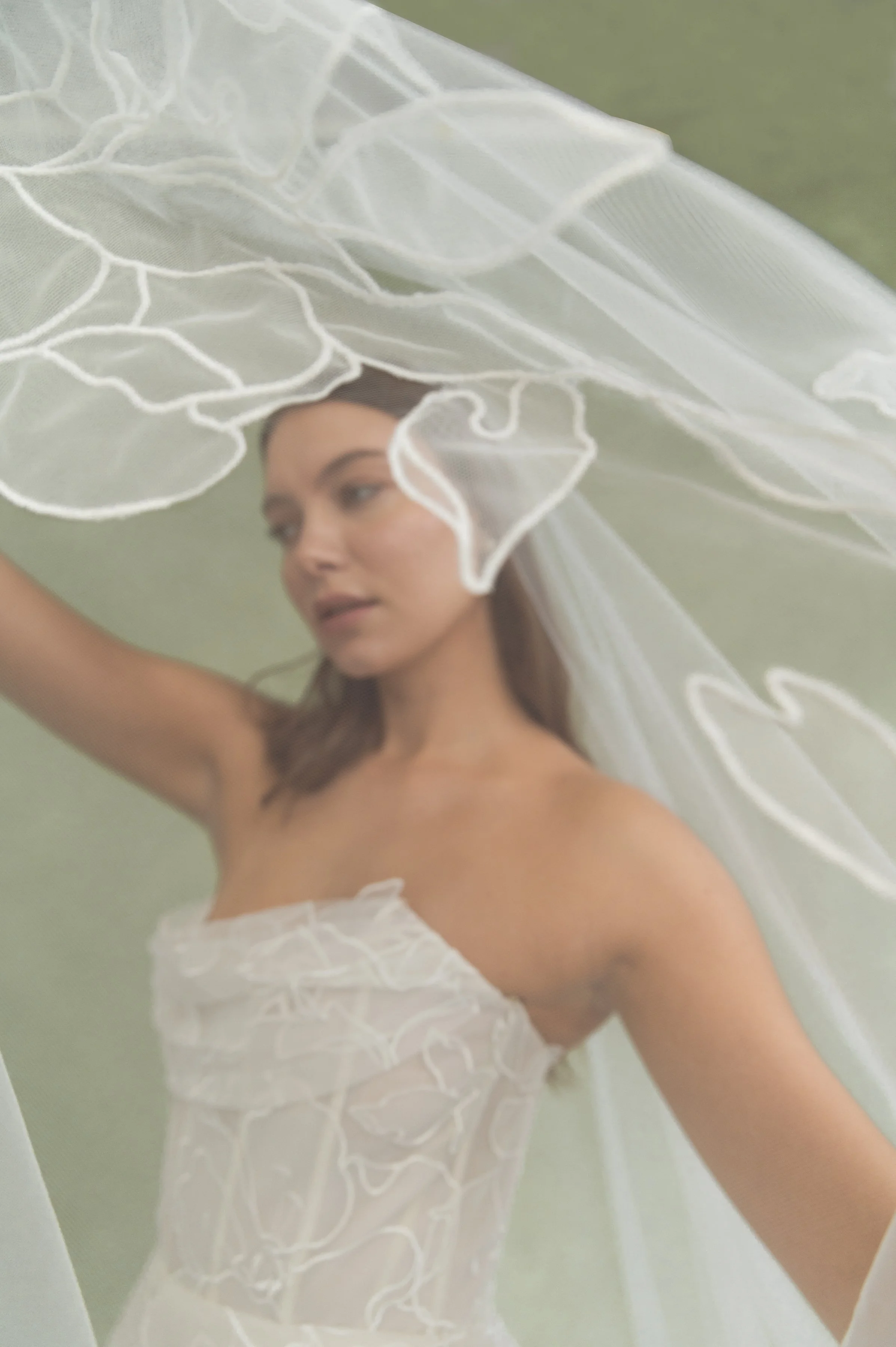Lorelai Veil