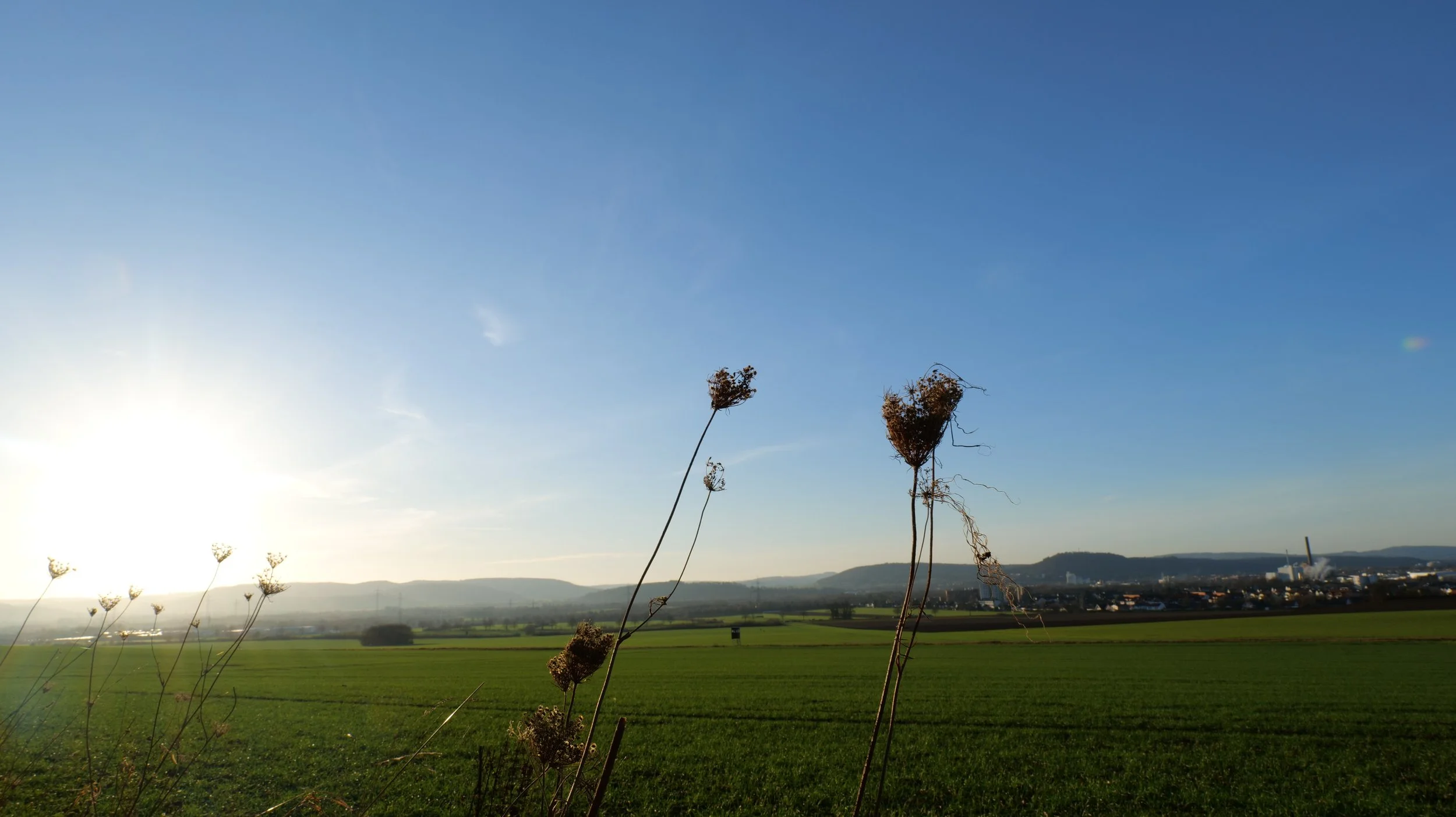 Open farmland with green fields, distant hills, clear blue sky, and tall, dried plants in the foreground, sunlight on the left side.