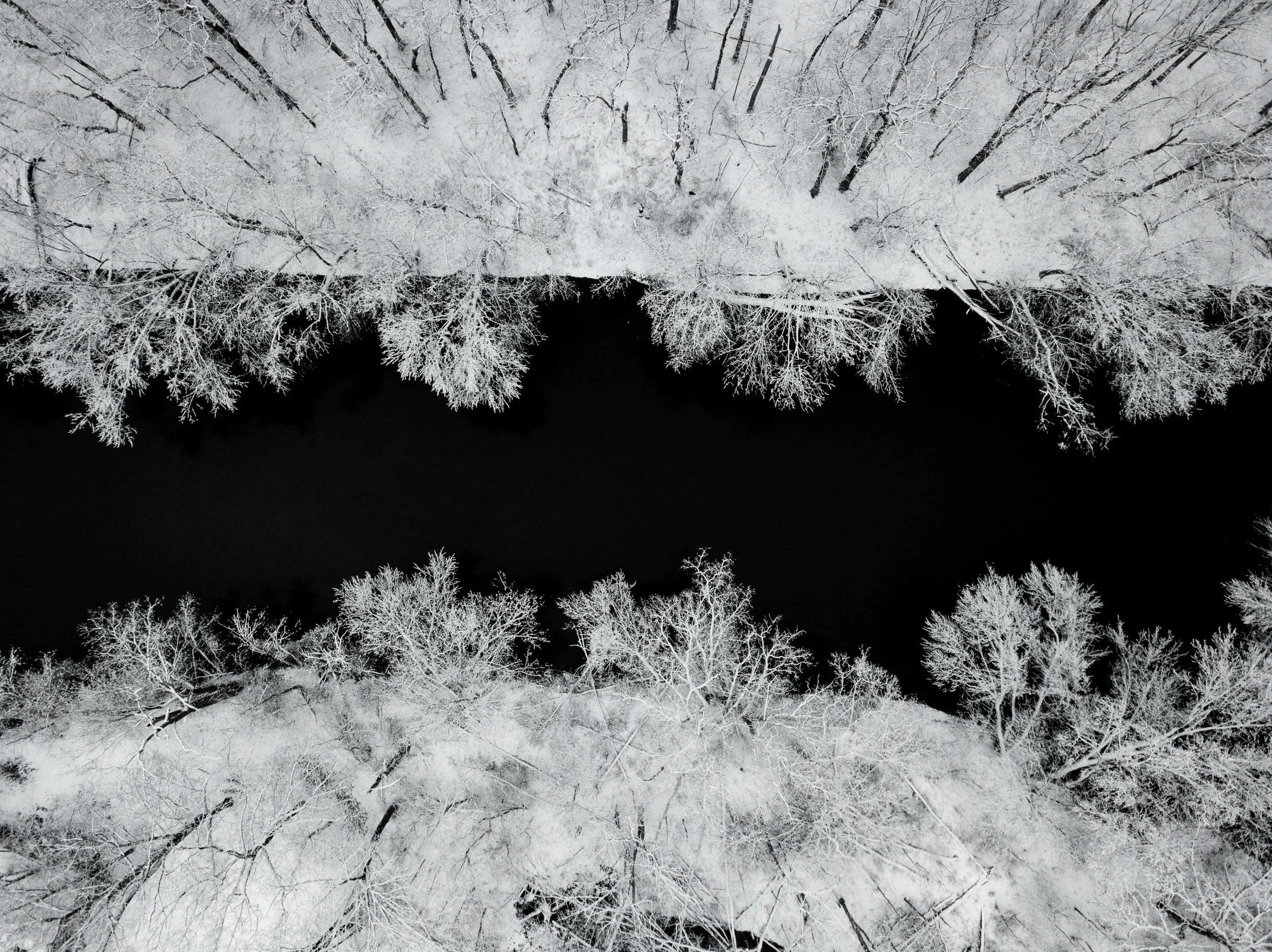 Vista aérea de un lago rodeado de árboles cubiertos de nieve en invierno.