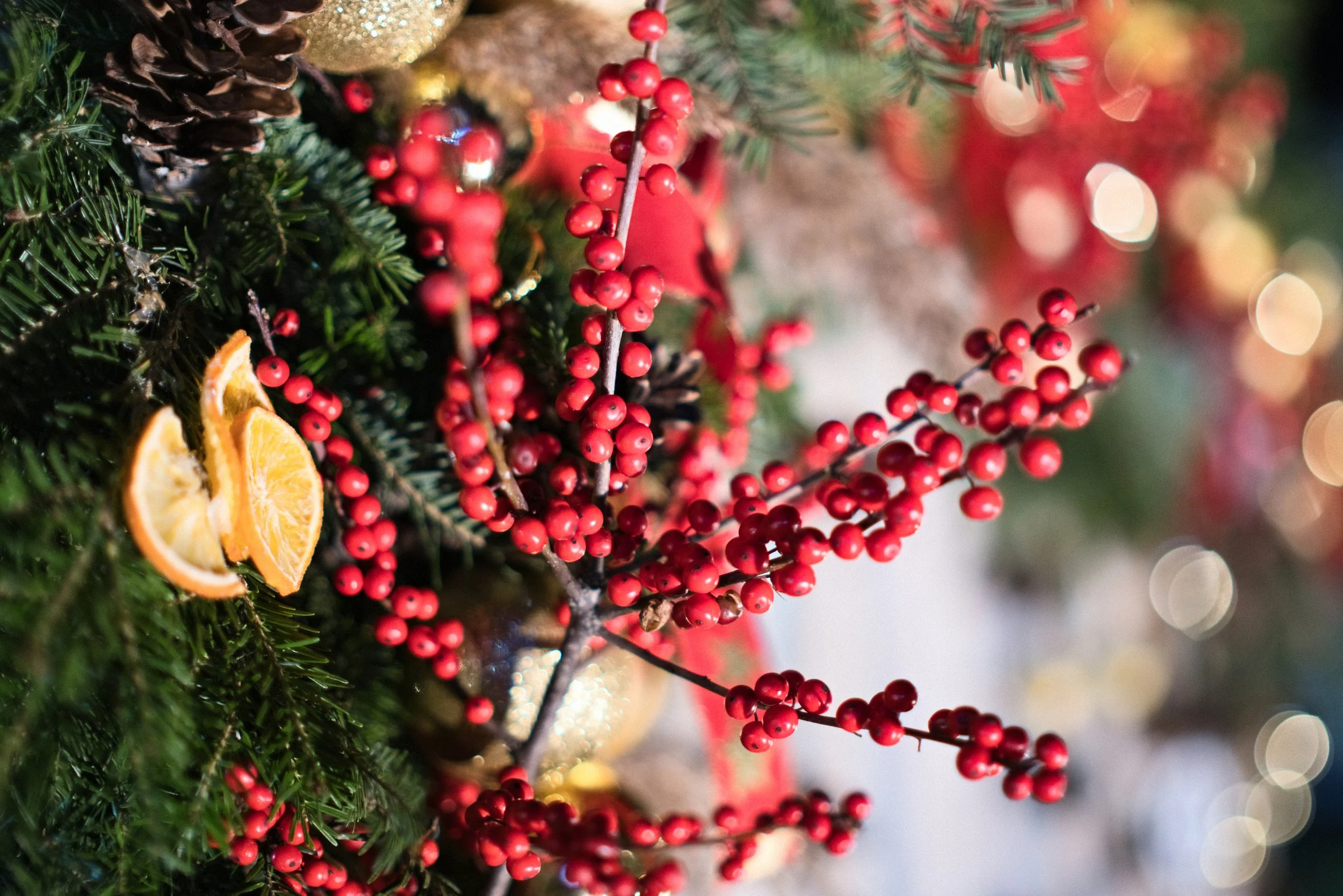 2025-12-05__DSCT7364_4k.jpg