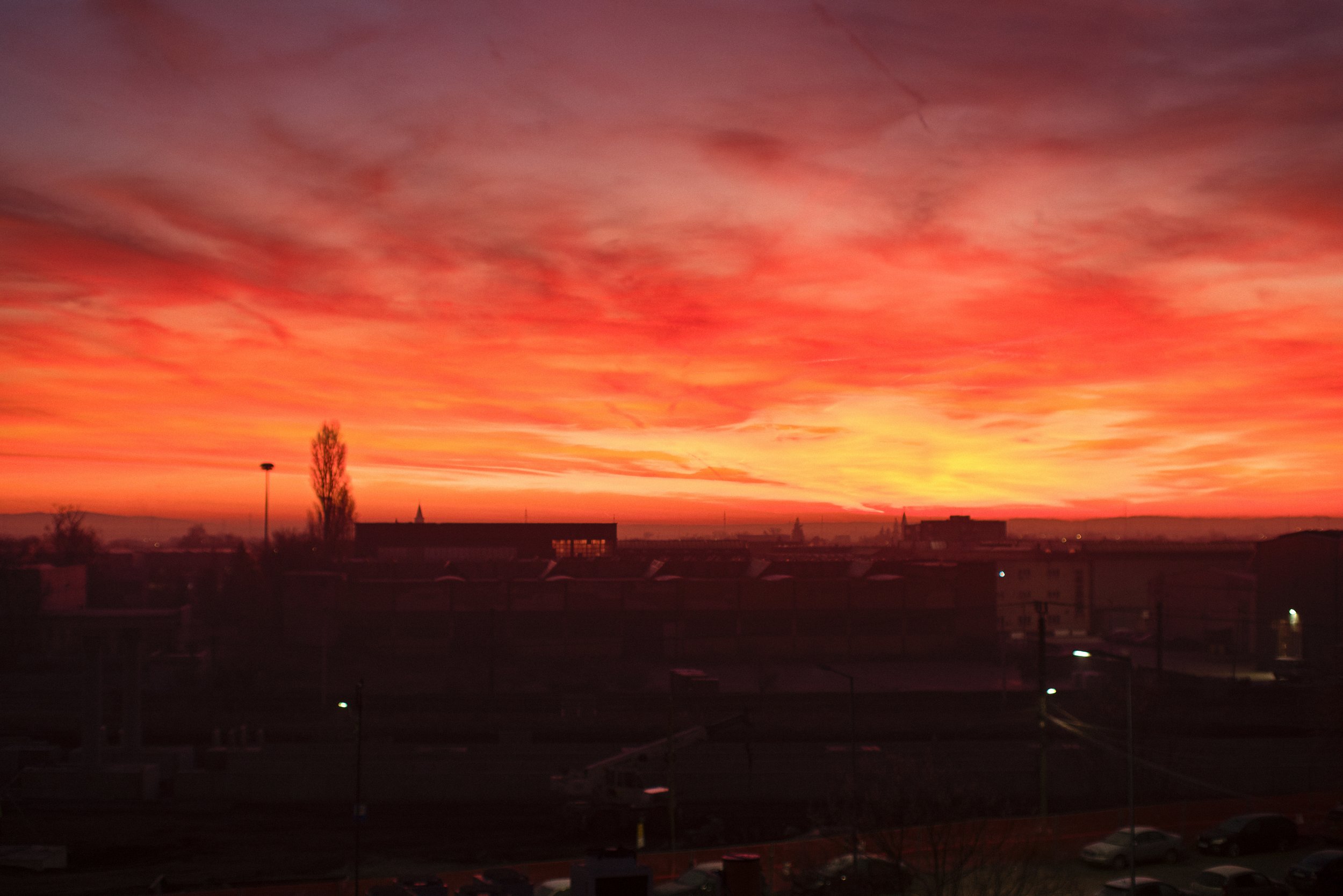 2025-12-17__DSCT7778_4k.jpg