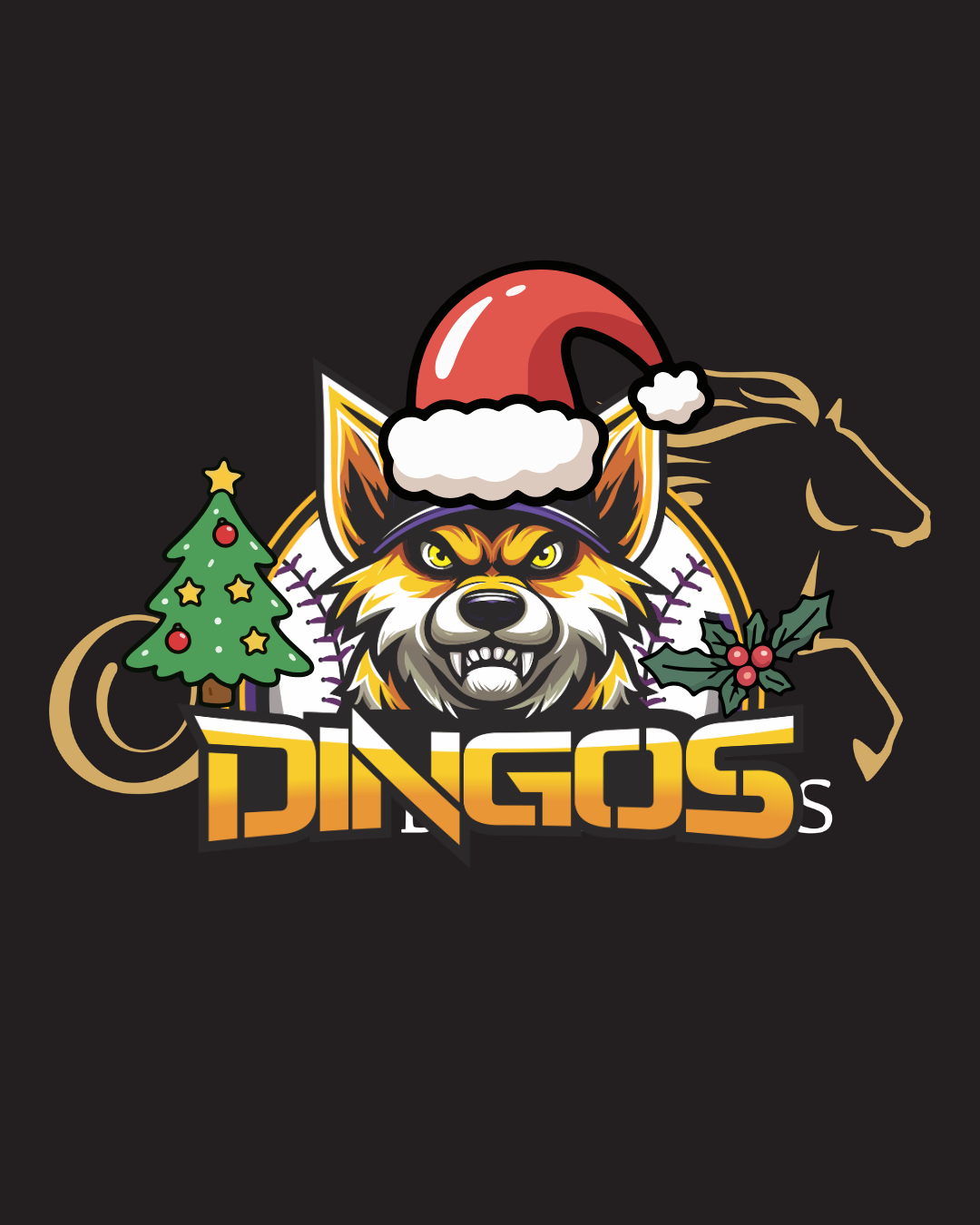Dingos Christmas Party