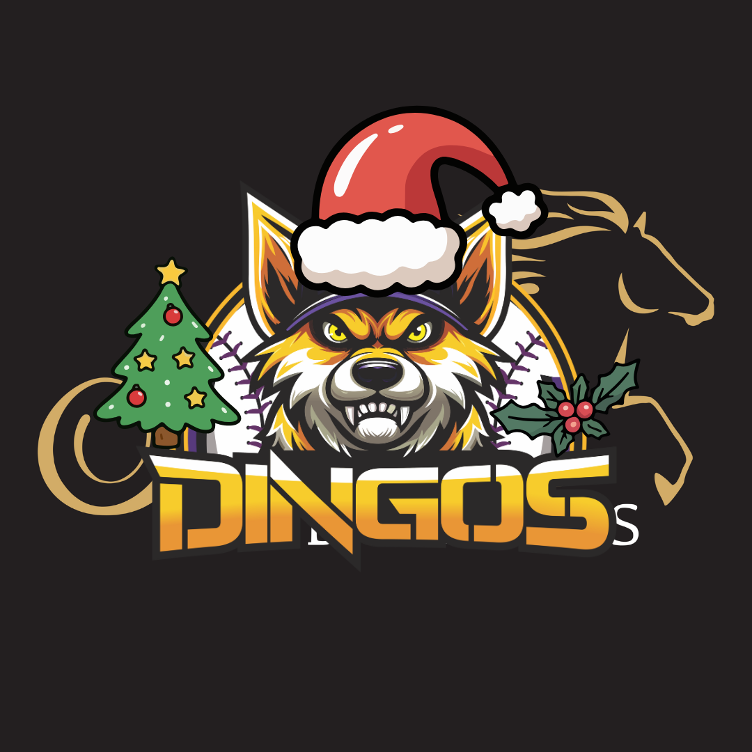 Dingos+Christmas+Party.png