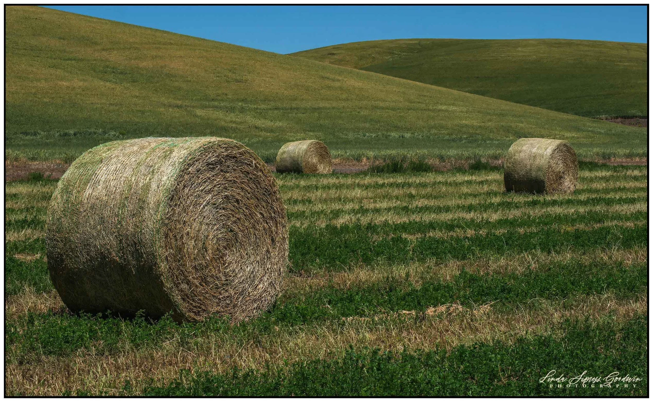 Palouse