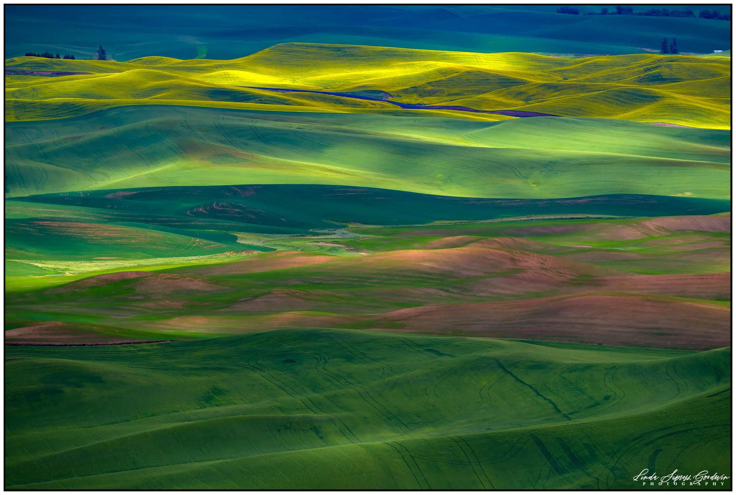 palouse10a.jpg