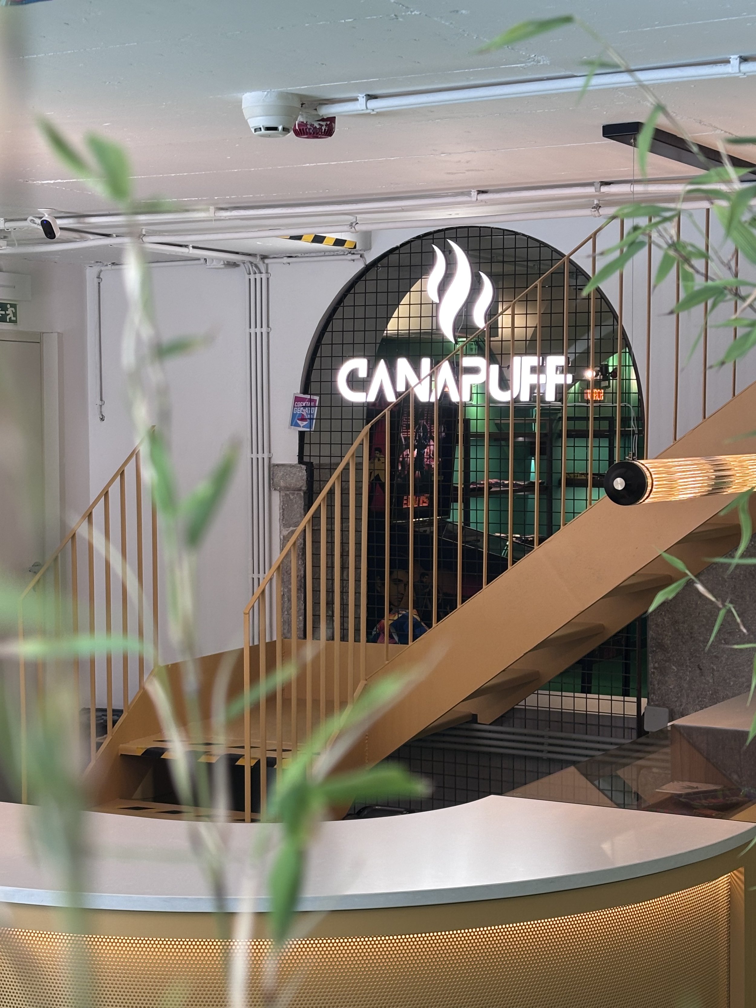 Downtown Lisbon Commercial Fit Out