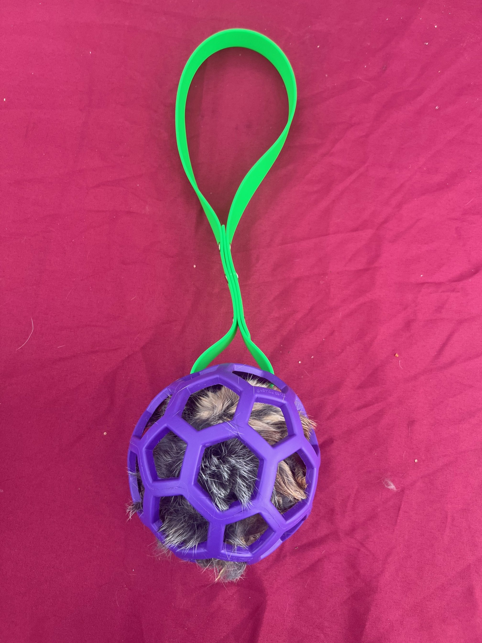 Ball Tug.jpg
