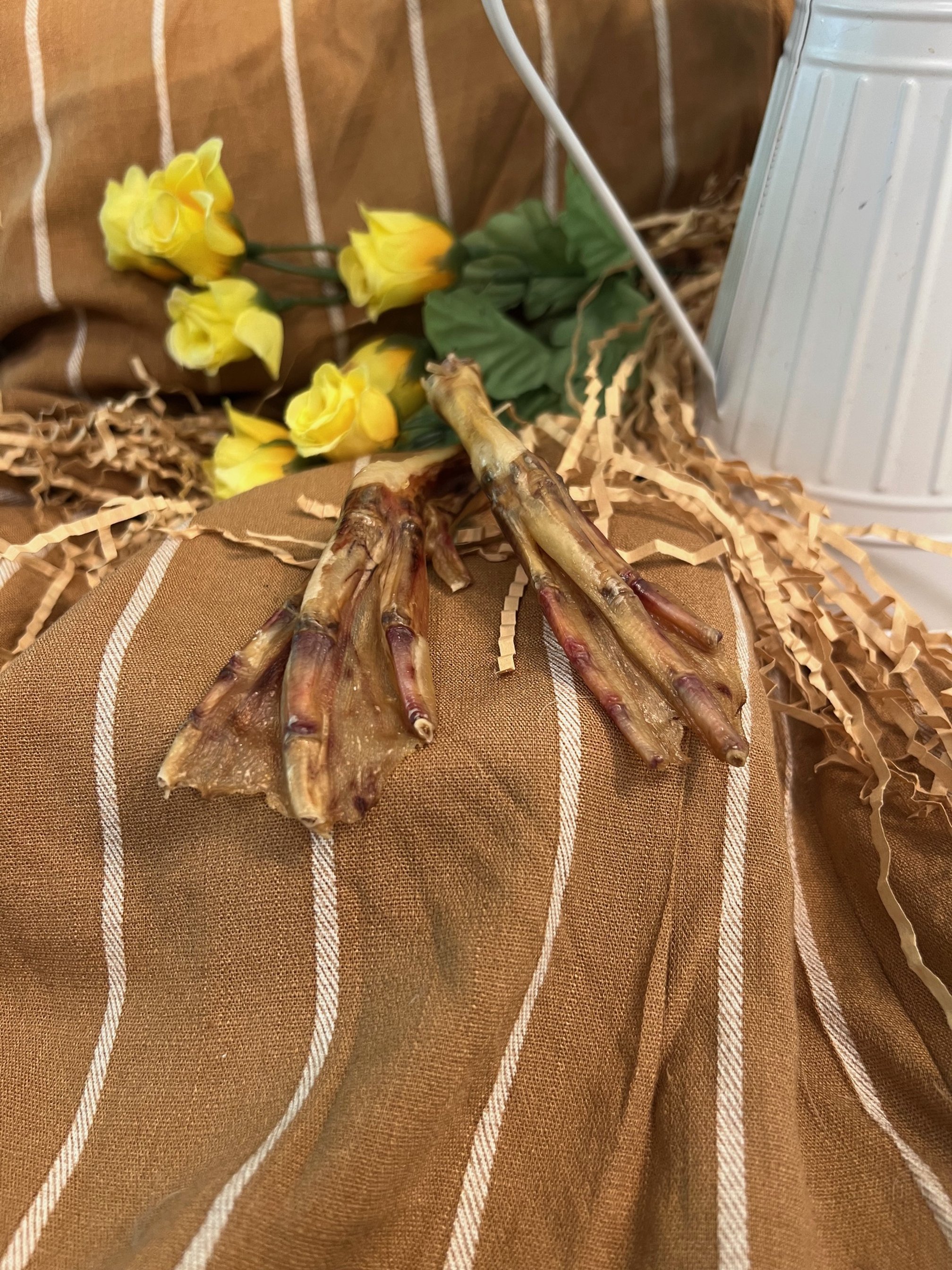 duck feet pic.jpg