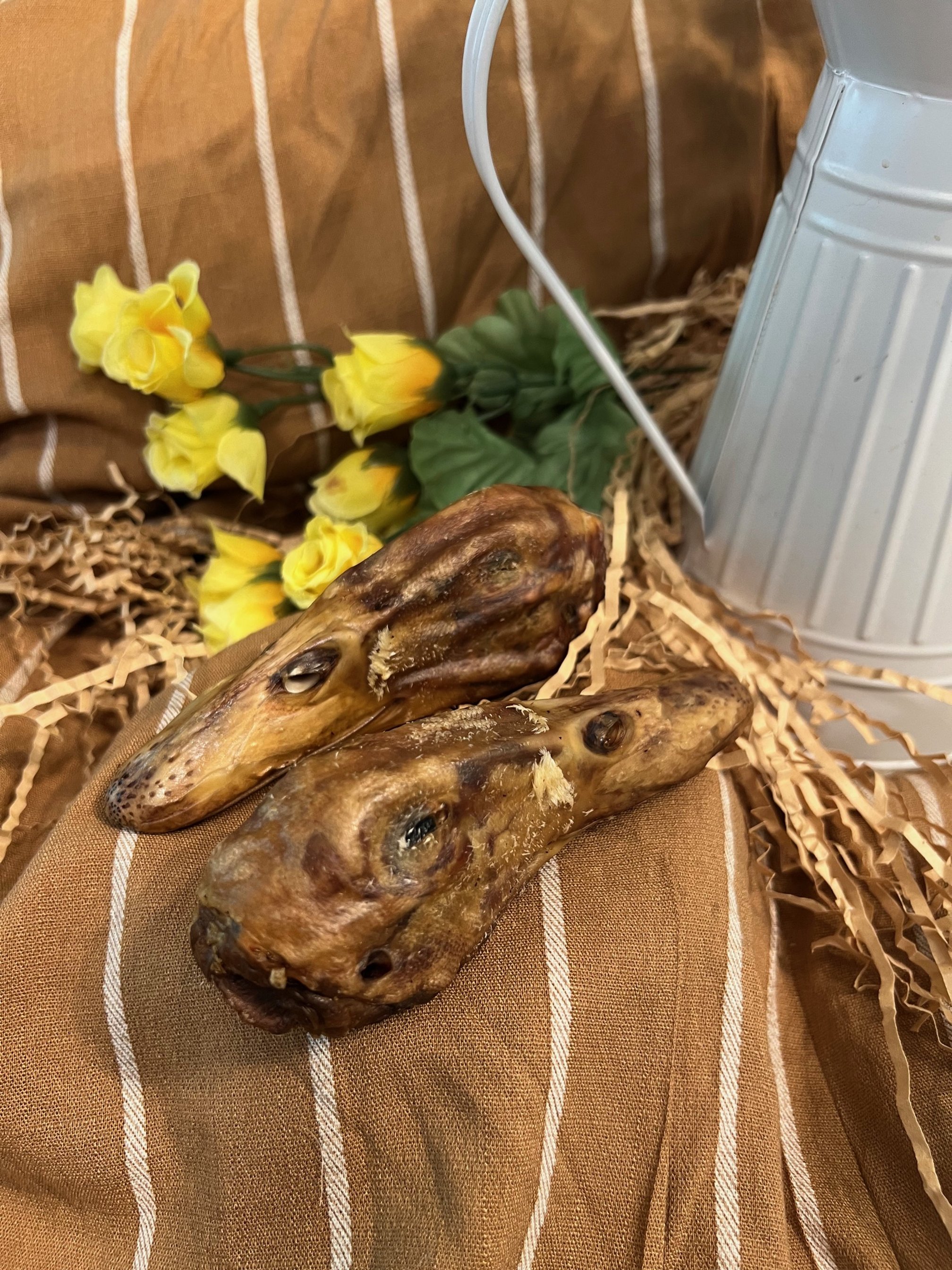 Duck Heads Pack of 3