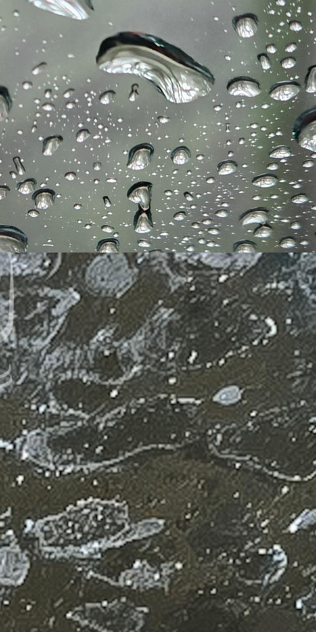 Hard water and mineral deposit removal from bayfront glass at Peninsula Sarasota, 223 Golden Gate Point, downtown Sarasota FL — Glass Restoration Inc.