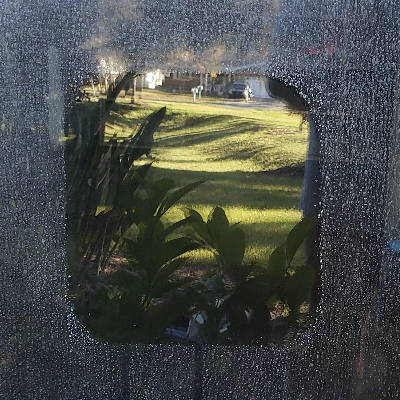 Sprinklers and sea spray make a mess of  glass. We polish mineral deposits away in Sarasota