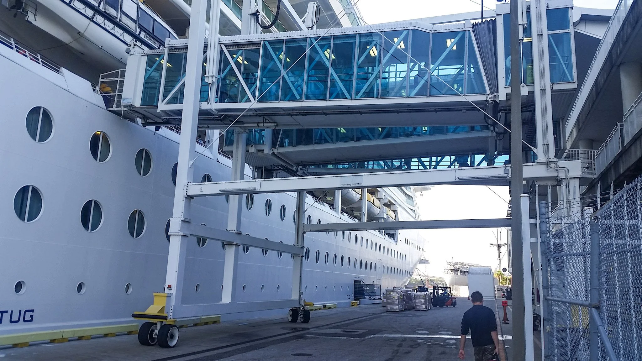 Stanton Barbas of Glass Restoration Inc. carrying his tool bag on the dock at Port of Tampa, walking toward the embarkation walkway of Royal Caribbean's Brilliance of the Seas for an on-board glass damage inspection