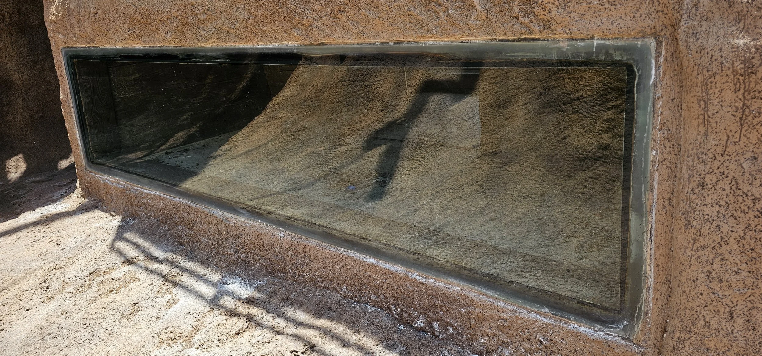 The glass is clear again for the enjoyment of the park guests viewing the animals inside the exhibit.
