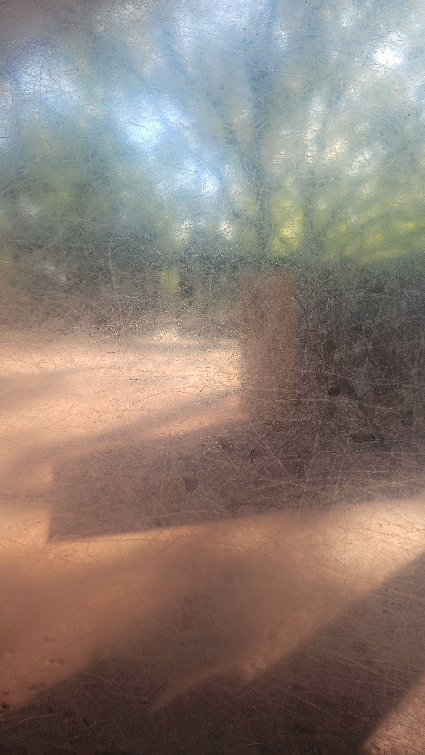 Scratched Glass at Zoo