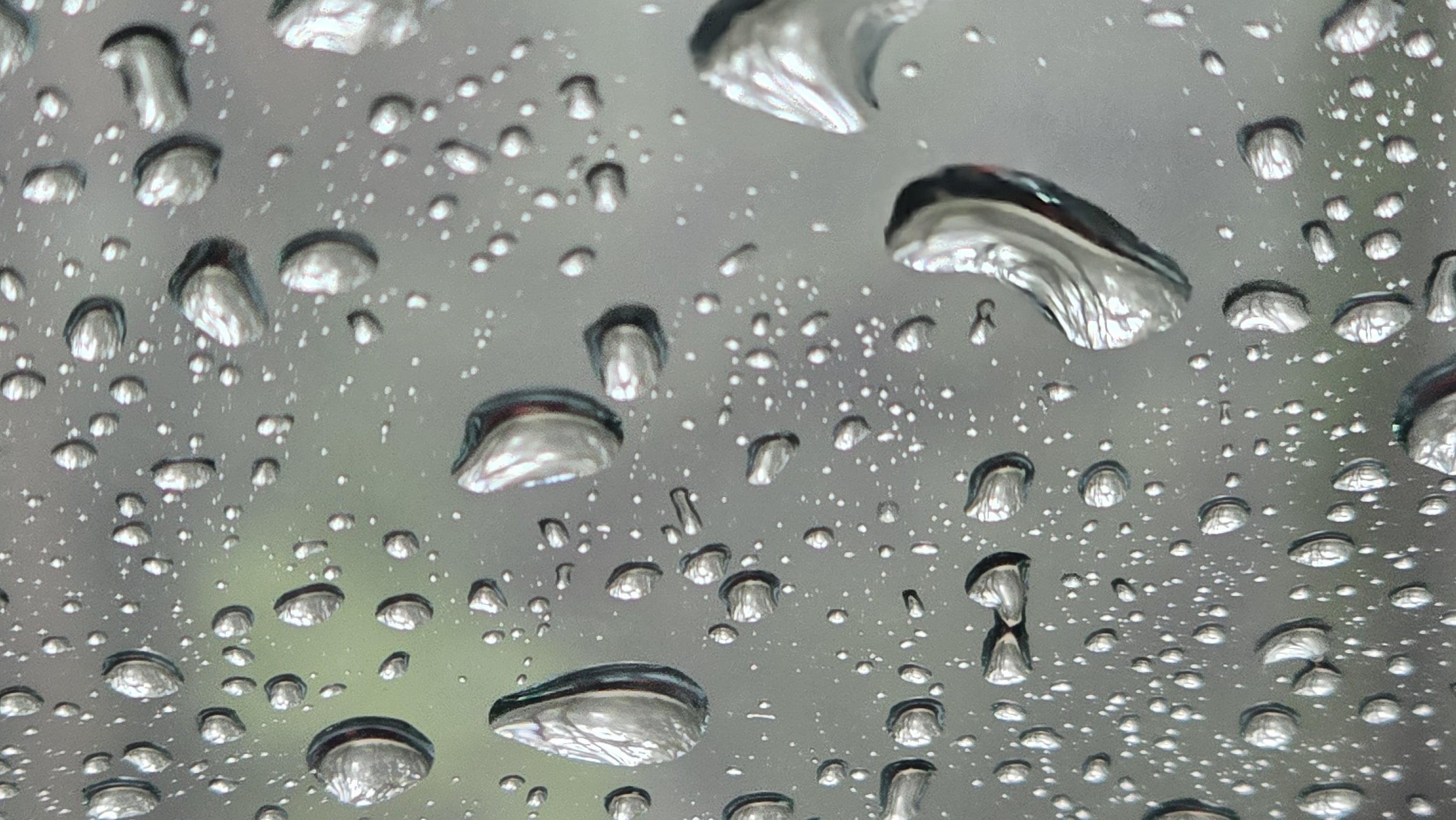 Hard water mineral deposits beginning to form on residential glass in Palm Harbor FL — Lake Tarpon area irrigation overspray bonds to glass surfaces under Florida UV exposure