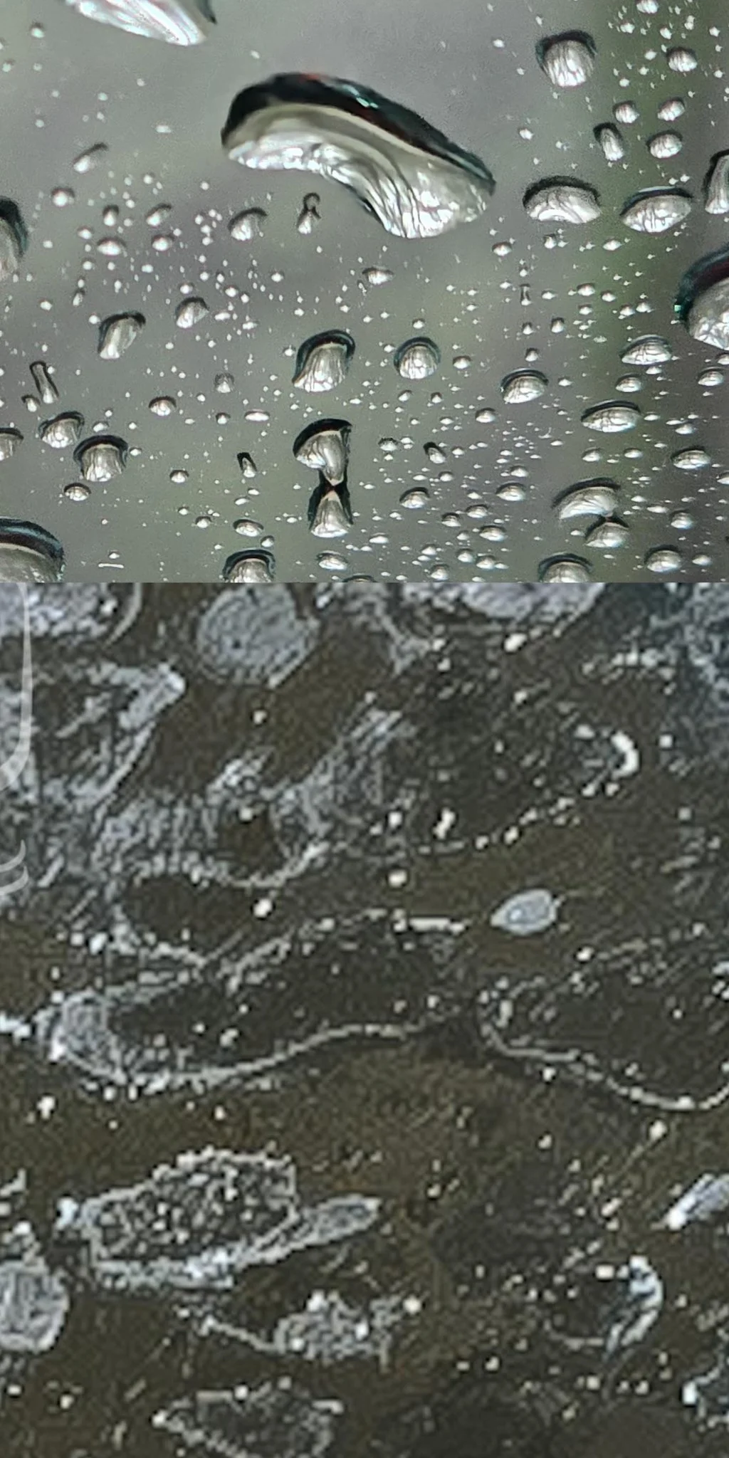 Hard water mineral deposit on a lakeside window at TerraWalk, Babcock Ranch — before polishing by Glass Restoration Inc.