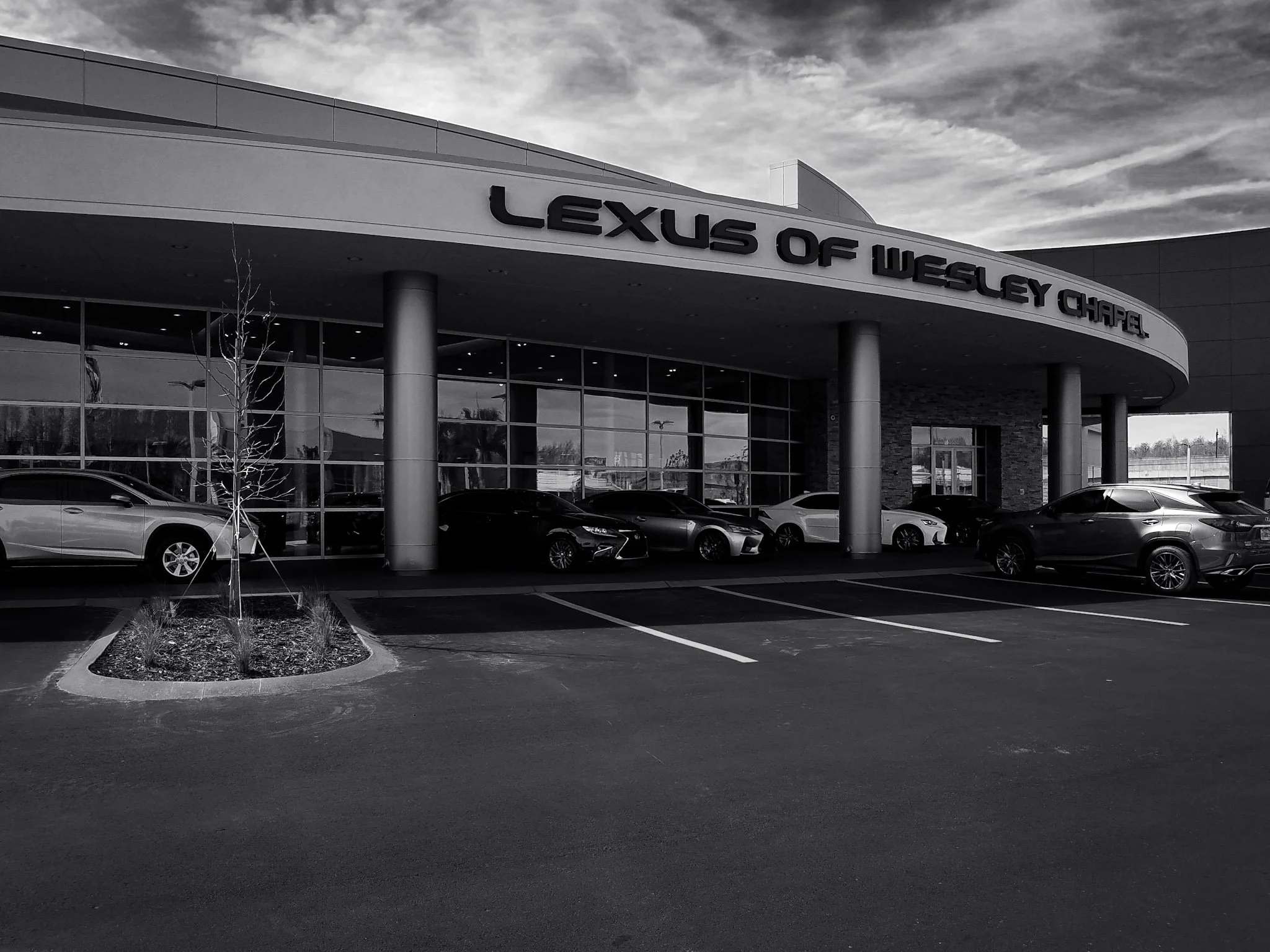 Lexus of Wesley Chapel commercial glass restoration - High-end scratch and stain removal on expansive storefront glass by Glass Restoration Inc.