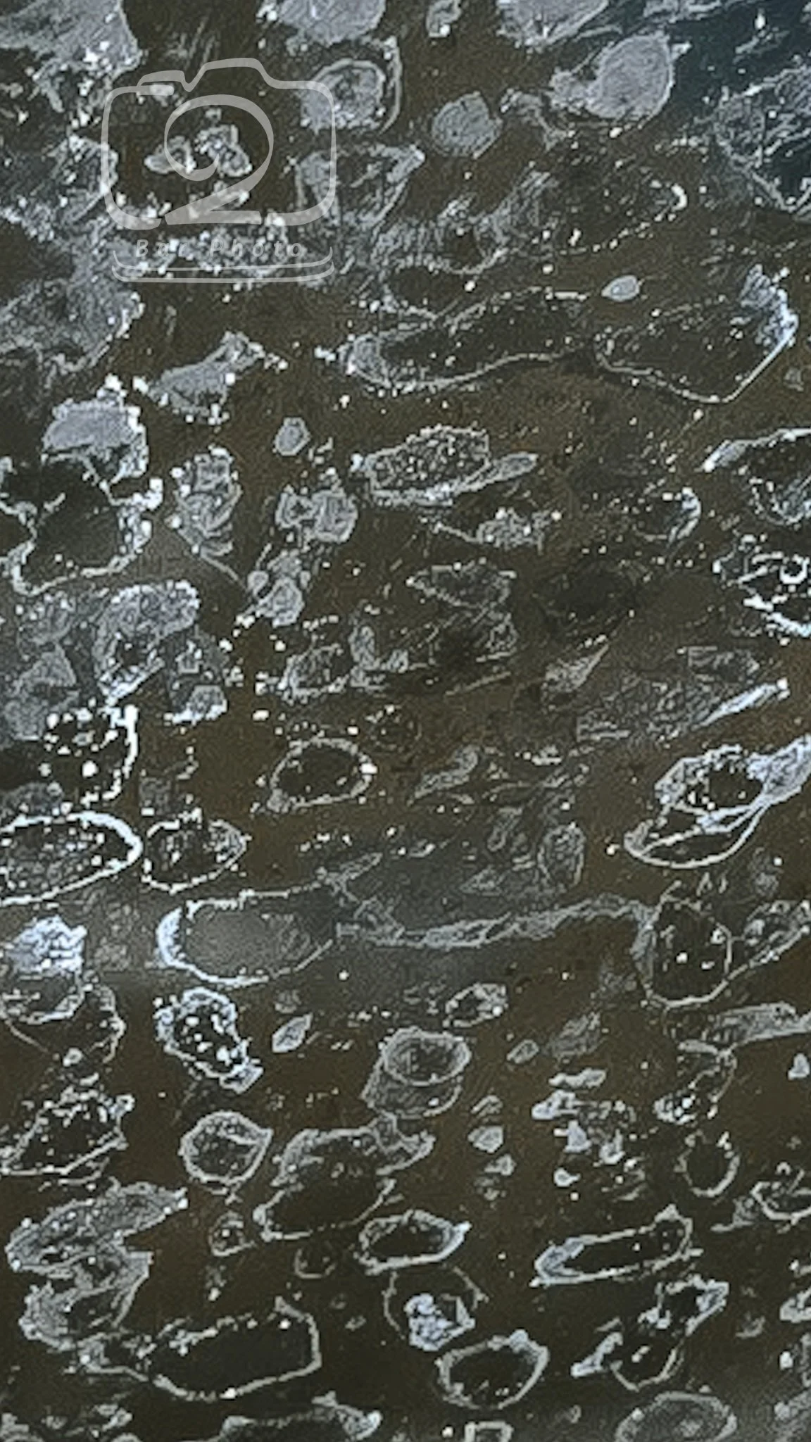 Heavy mineral deposit and hard water stain removal on residential glass in Sarasota. Expert restoration restores original clarity and protects your view.