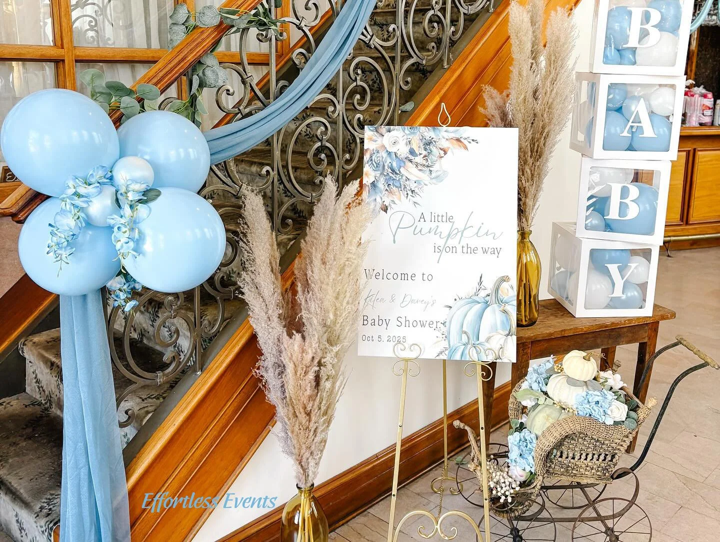 Effortless Events Boy 4.jpg