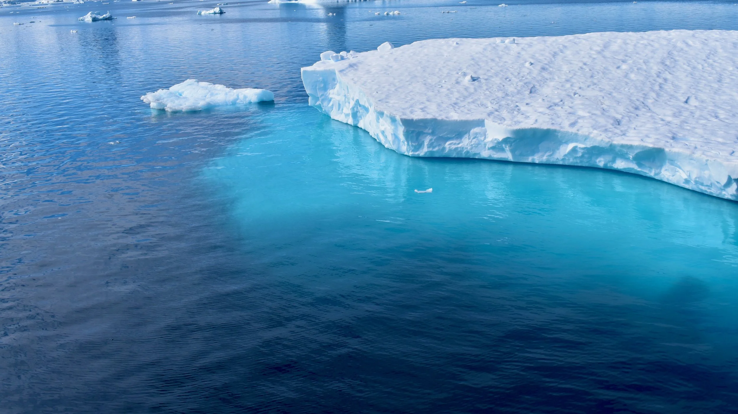 Leadership and Service — Heather Forrer Marine Biogeochemistry Research