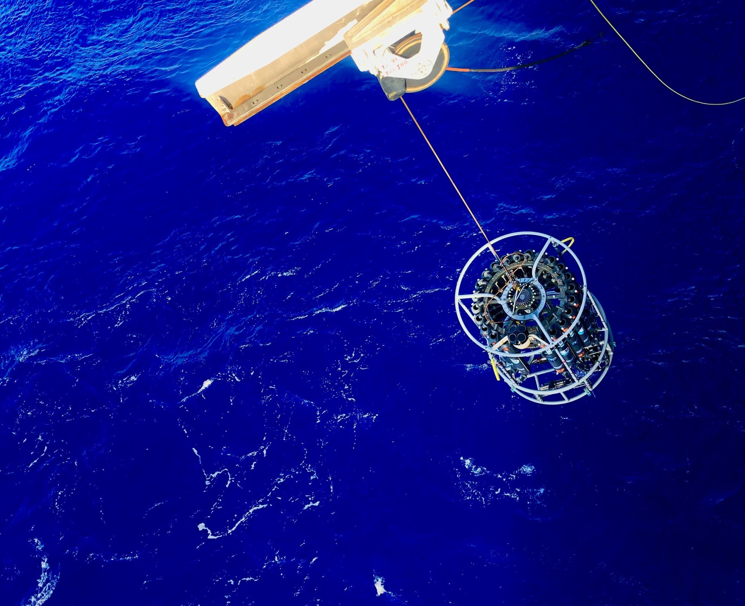 Heather Forrer Marine Biogeochemistry Research
