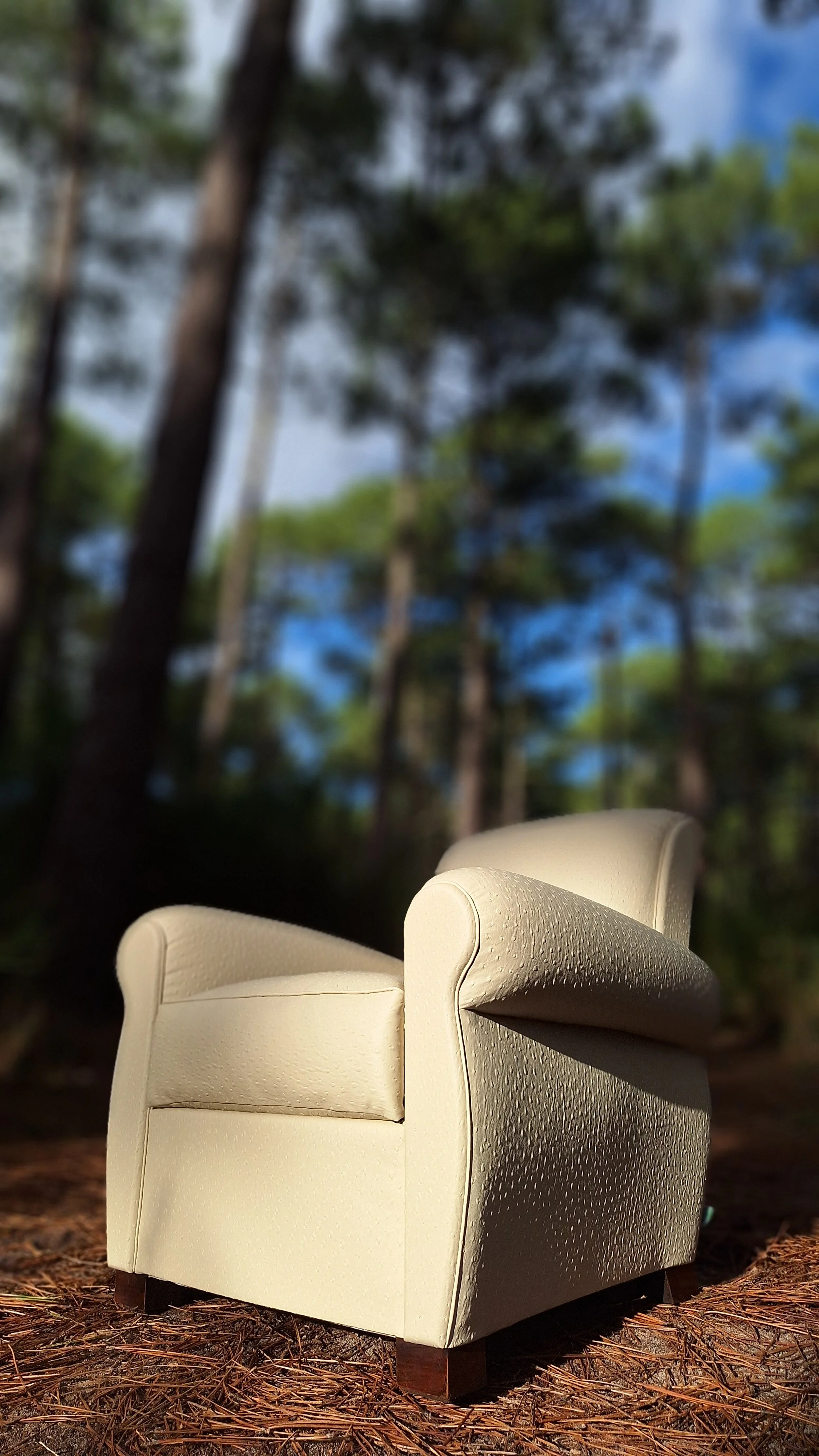 Fauteuil club art nouveau en photo dans la foret des landes. Réalisé en cuir végétal, impression autruche couleur mascarpone, issus du recyclage de déchets de l'industrie forestière (sciure de bois), visible à Sanguinet, Nord des Landes et Bassin Arc