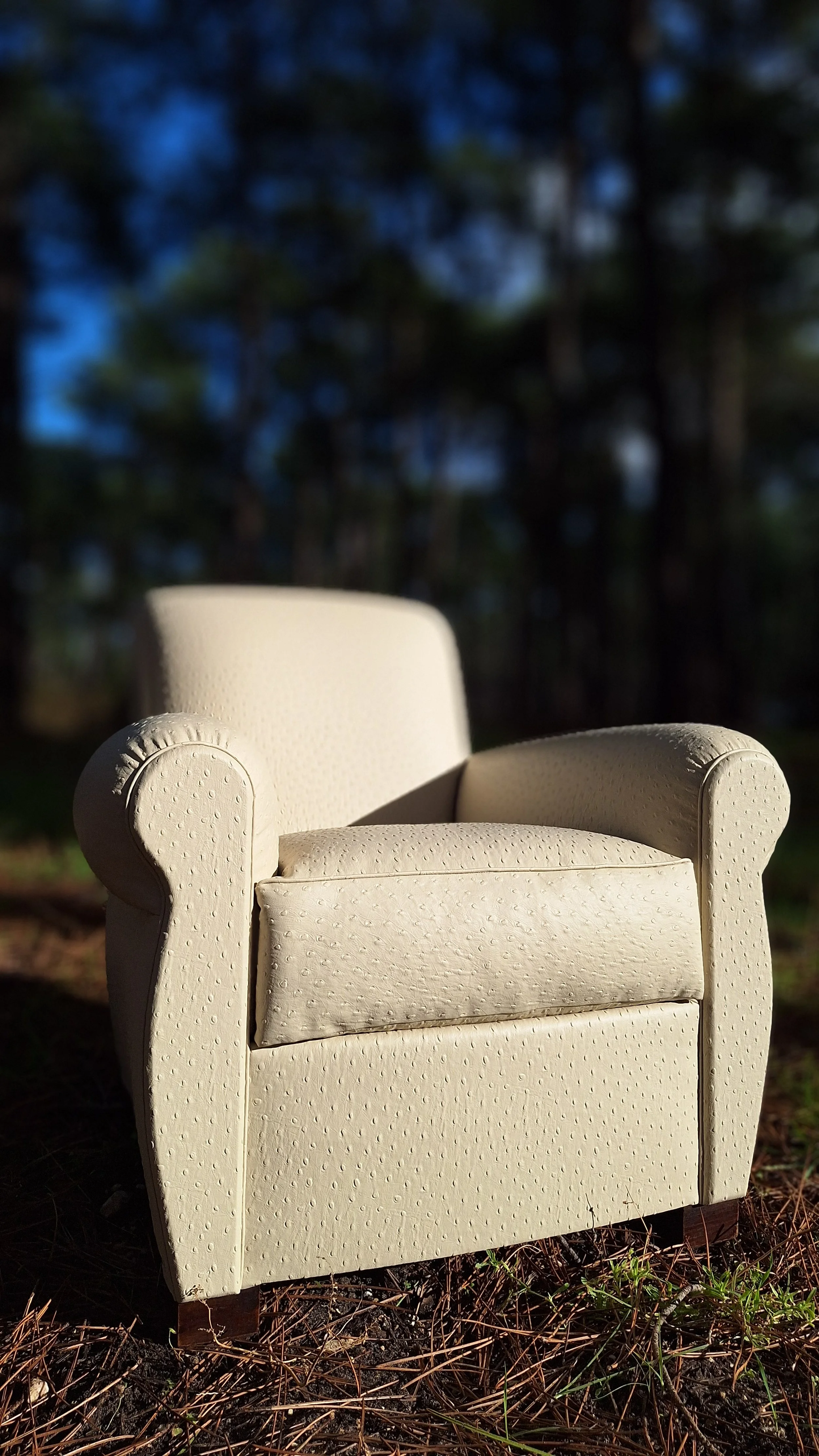 Fauteuil club art nouveau en photo dans la foret des landes. Réalisé en cuir végétal, impression autruche couleur mascarpone, issus du recyclage de déchets de l'industrie forestière (sciure de bois), visible à Sanguinet, Nord des Landes et Bassin Arc