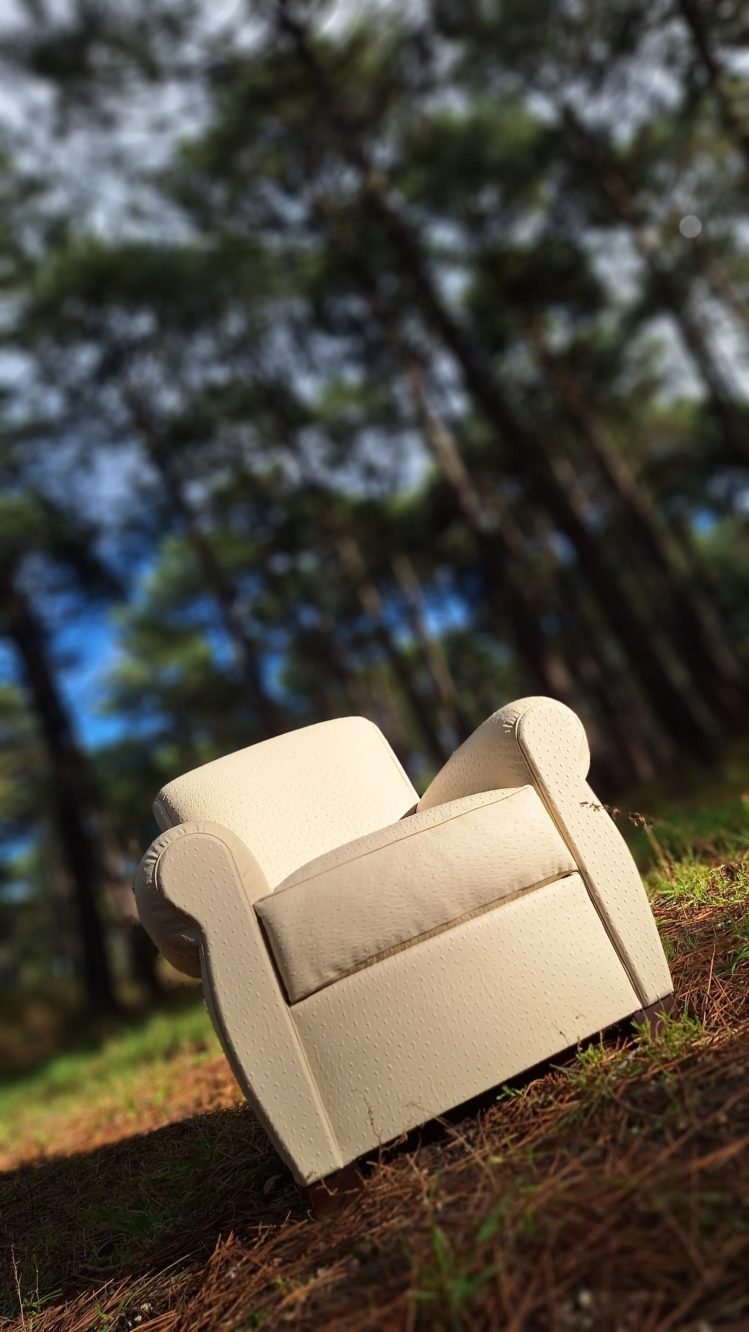 Fauteuil club art nouveau en photo dans la foret des landes. Réalisé en cuir végétal, impression autruche couleur mascarpone, issus du recyclage de déchets de l'industrie forestière (sciure de bois), visible à Sanguinet, Nord des Landes et Bassin Arc