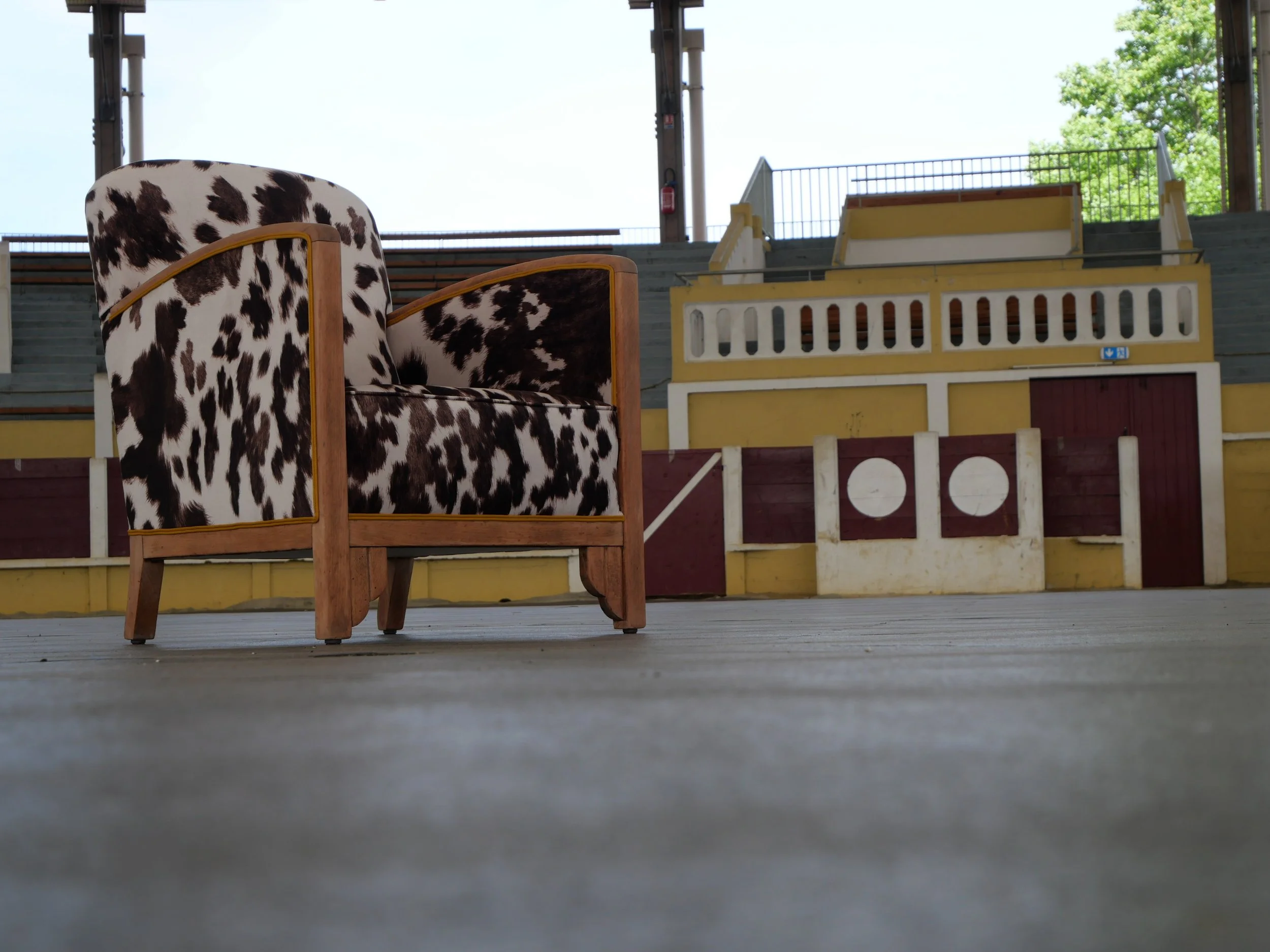 Fauteuil studio, époque Art Déco, entièrement restauré, couverture en velours effet peau de vache, mis en valeur dans les arènes de Parentis en Born