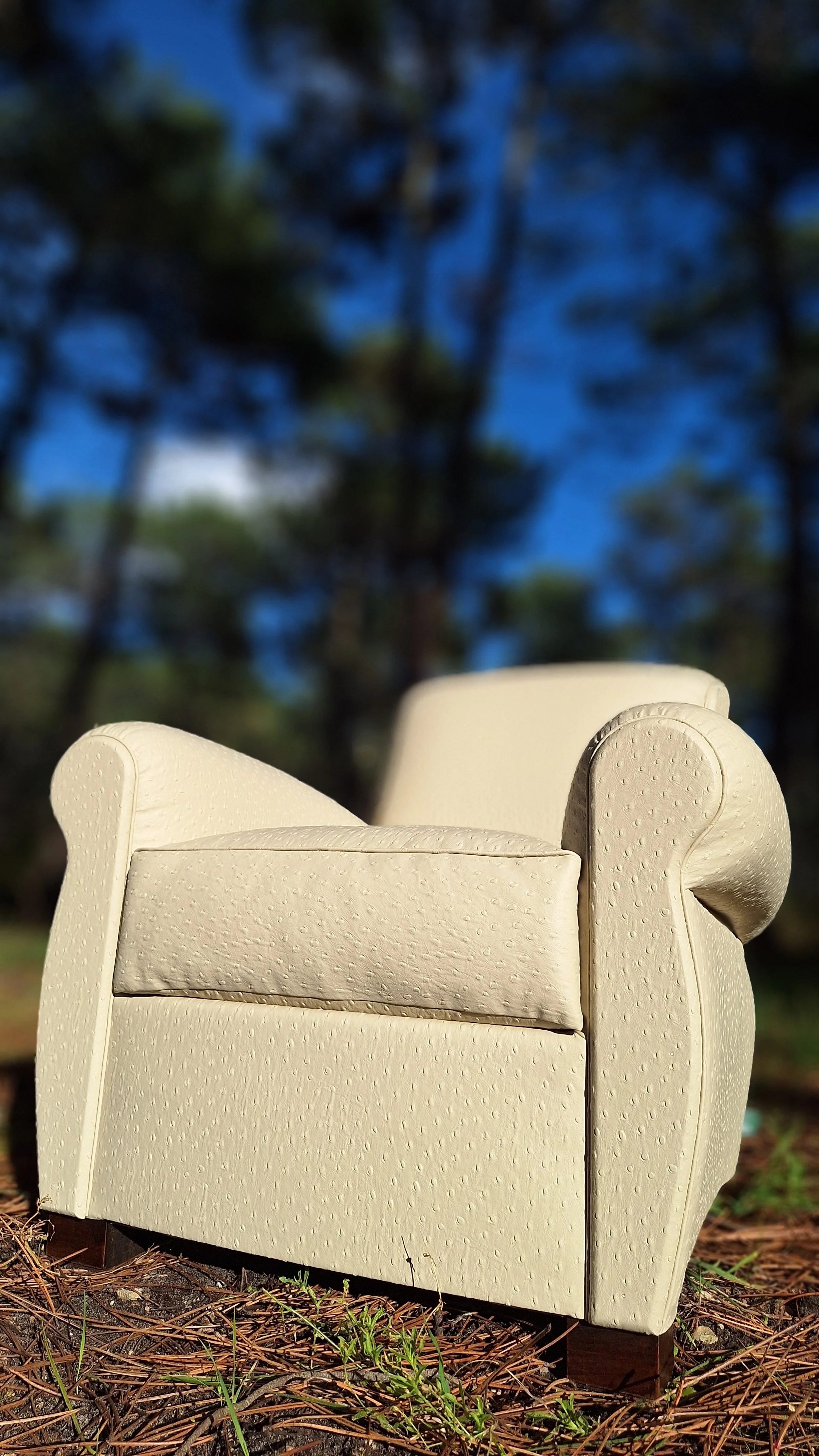 Fauteuil club art nouveau en photo dans la foret des landes. Réalisé en cuir végétal, impression autruche couleur mascarpone, issus du recyclage de déchets de l'industrie forestière (sciure de bois), visible à Sanguinet, Nord des Landes et Bassin Arc