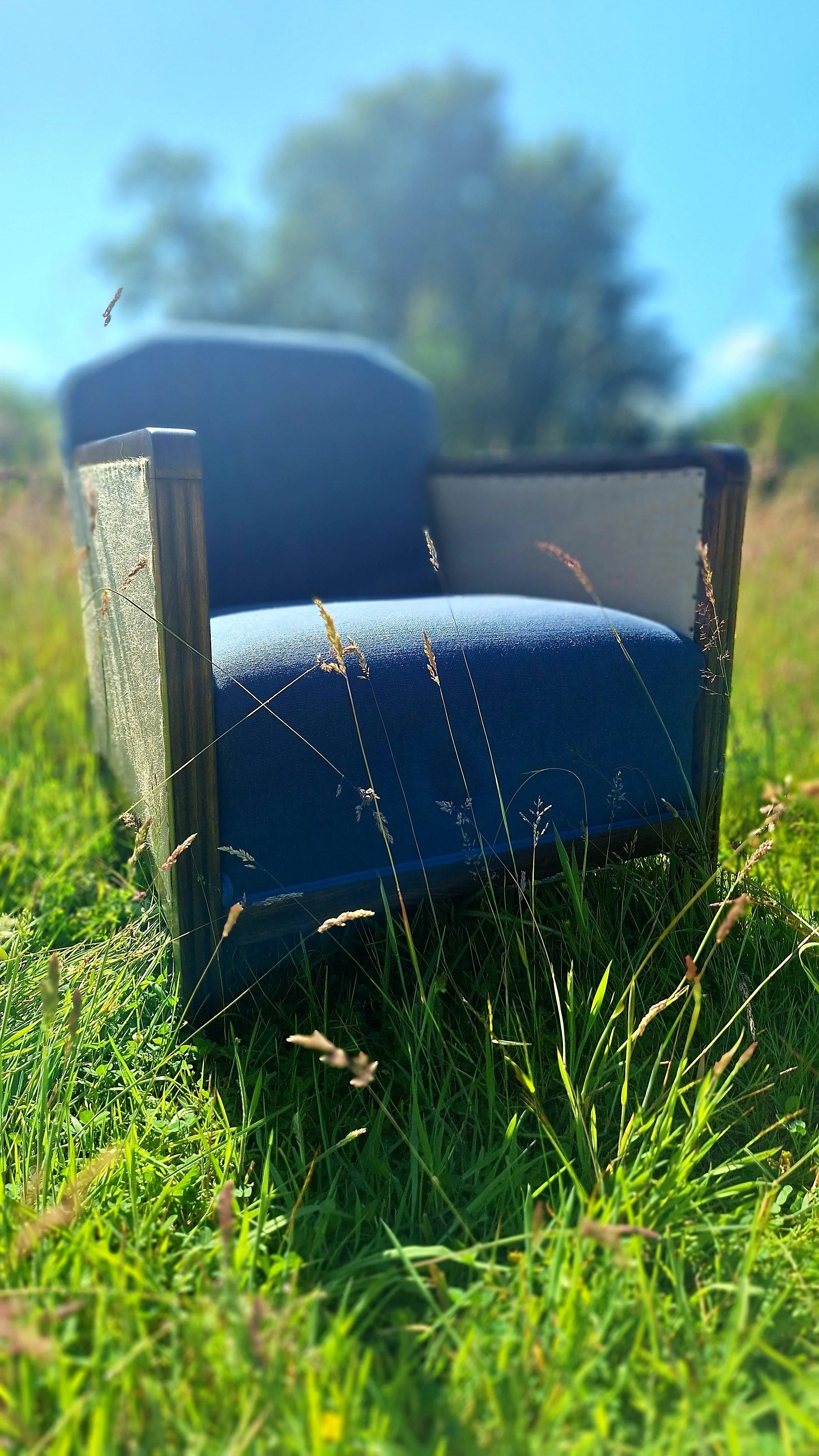 vue d'ensemble fauteuil art deco dans un champ bleu prusse